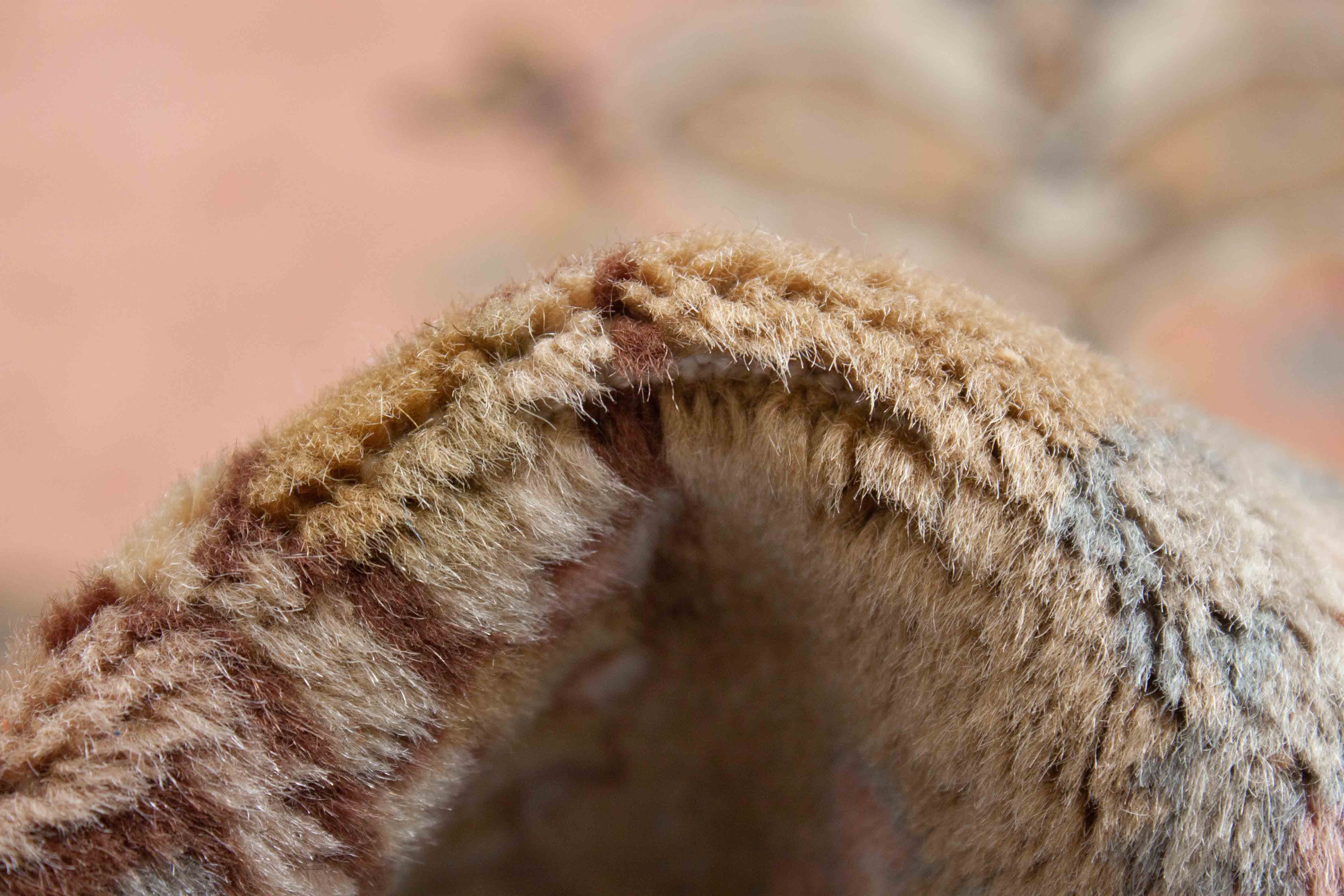 Eine Fotoaufnahme eines Täbriz Teppichs.