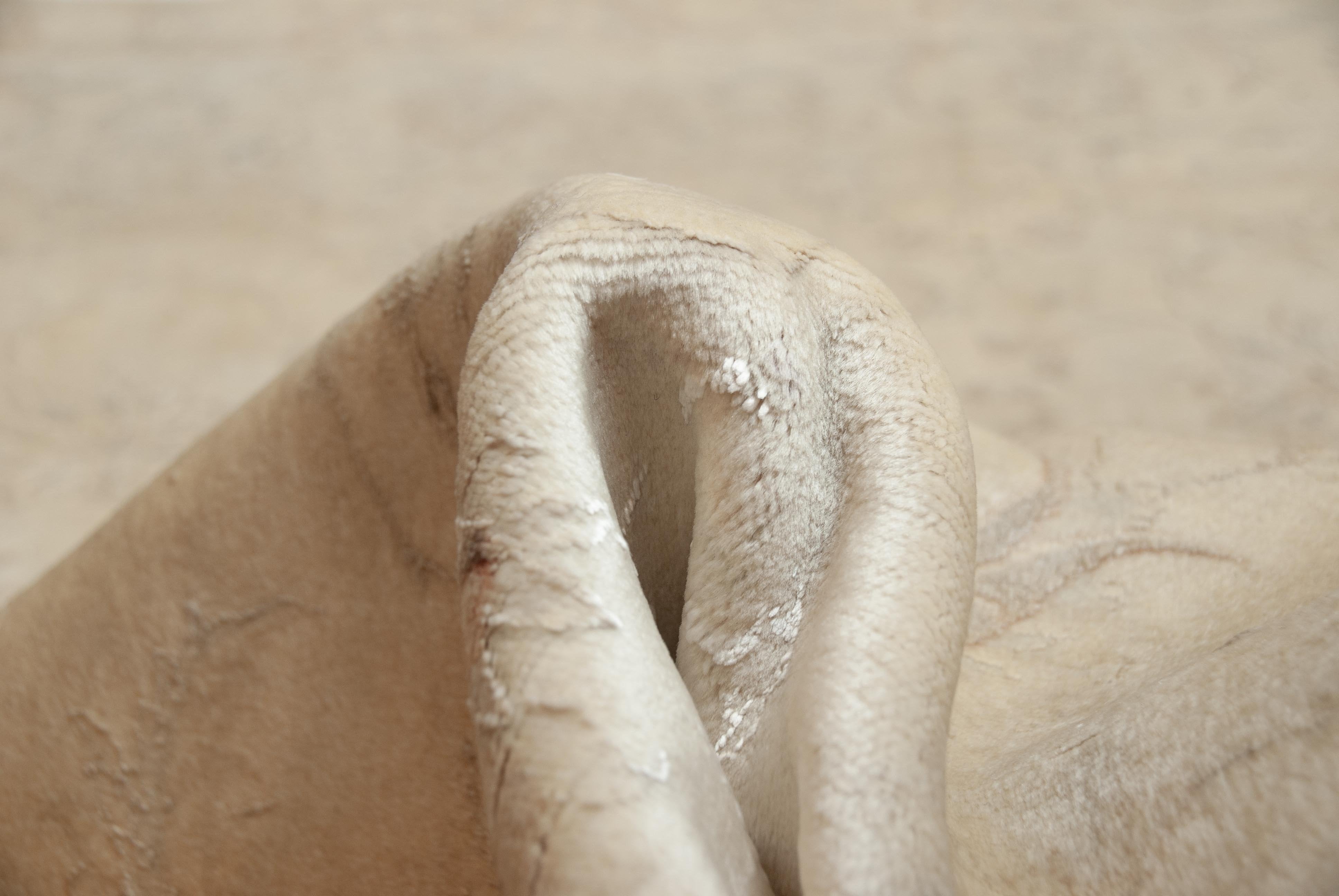 Eine Fotoaufnahme eines Täbriz Teppichs.