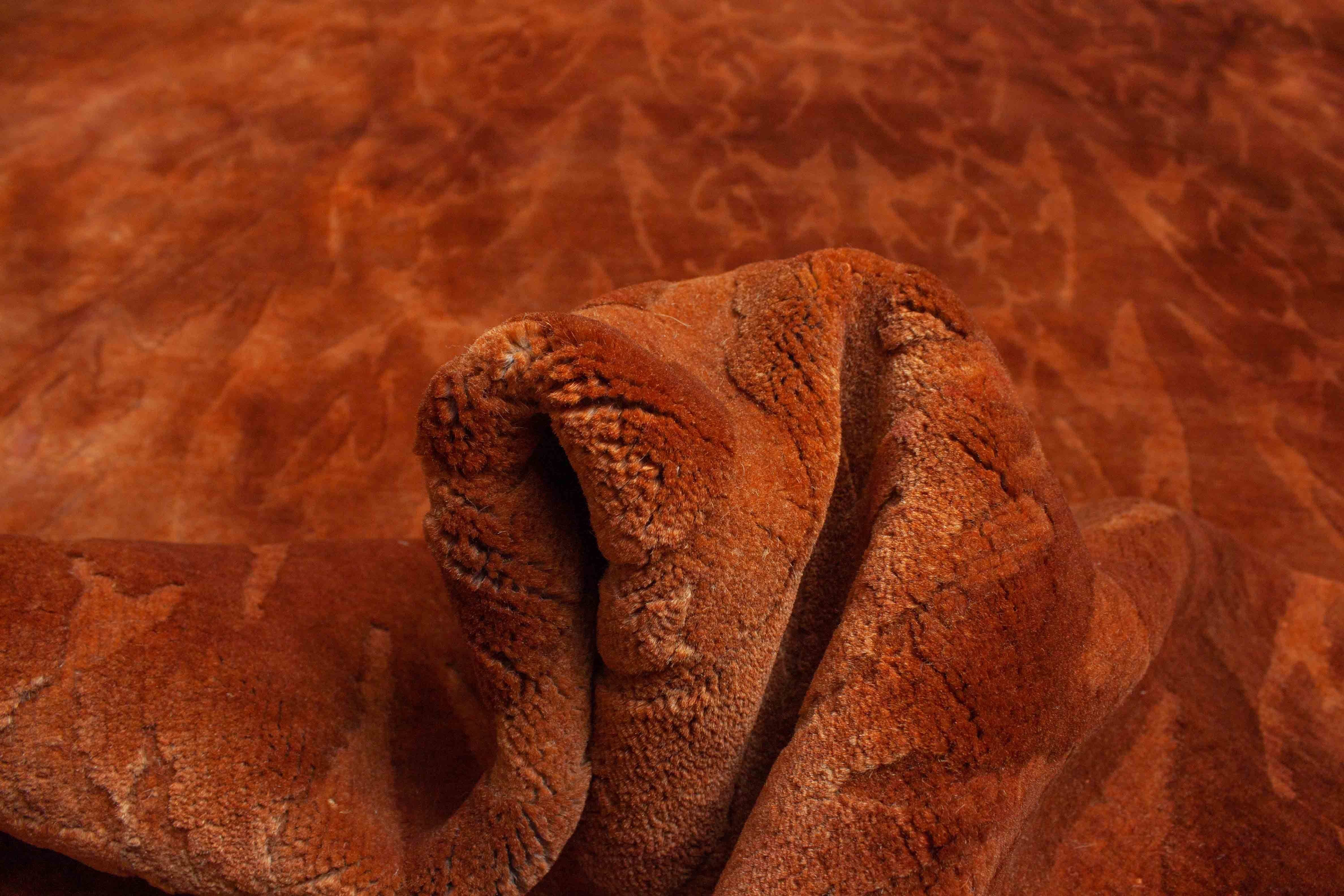 Eine Fotoaufnahme eines Terra Teppichs.