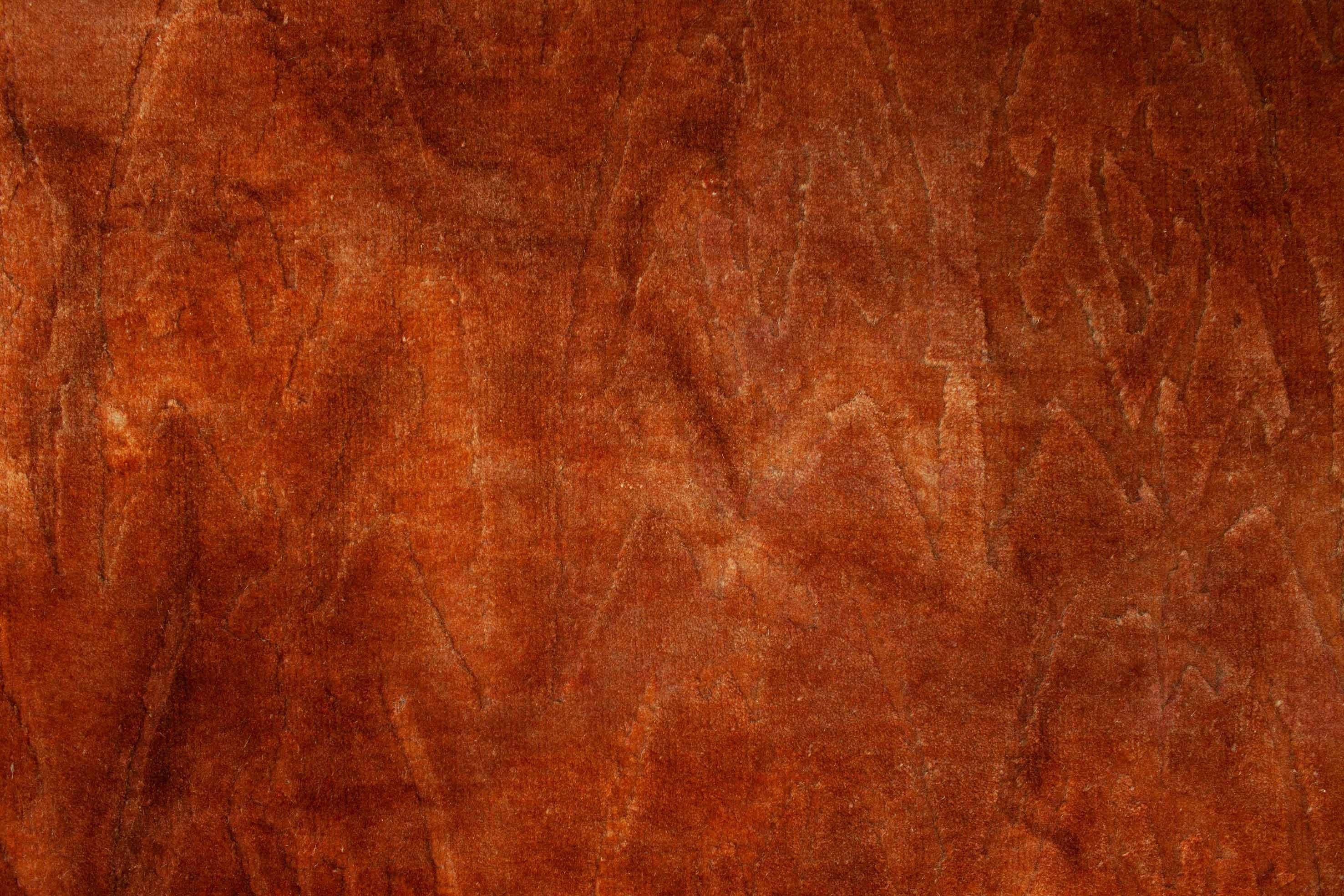 Bild vom Terra Teppich - 2