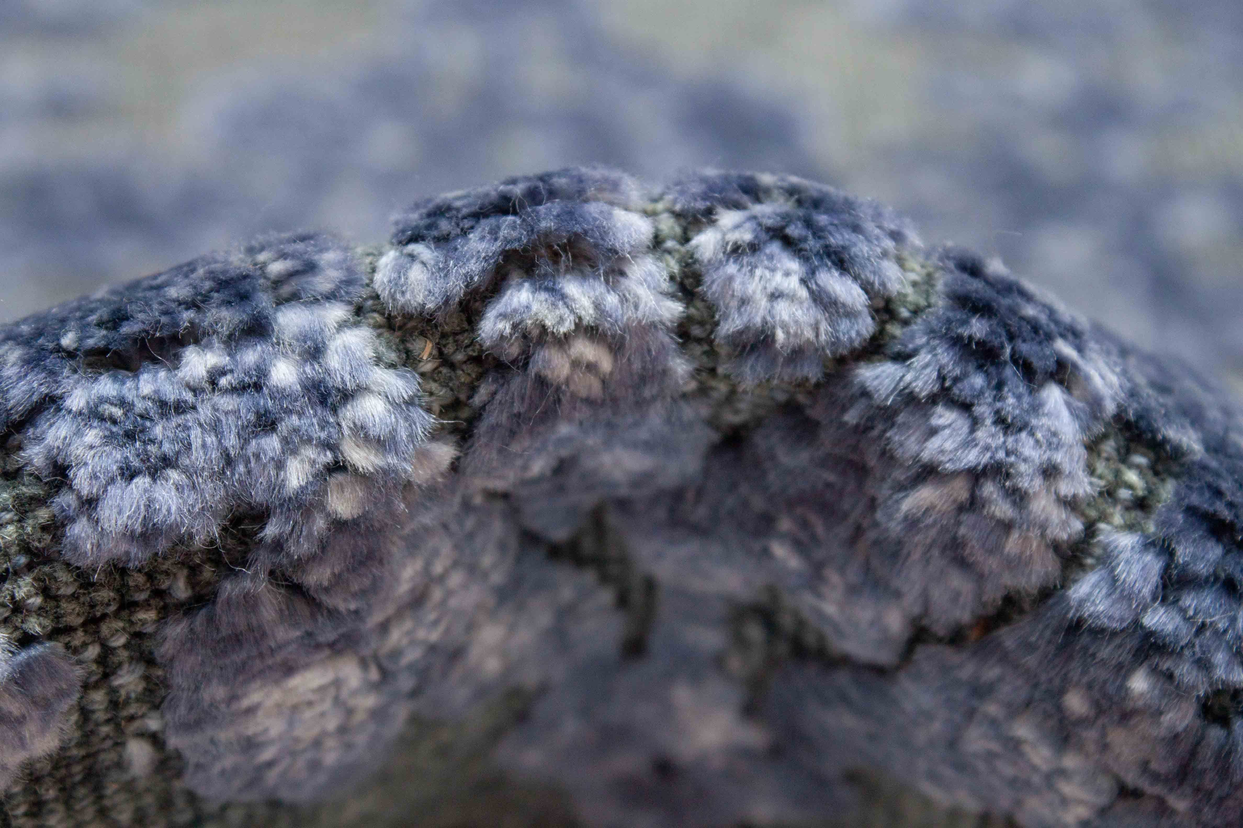 Eine Fotoaufnahme eines Tapis Teppichs.