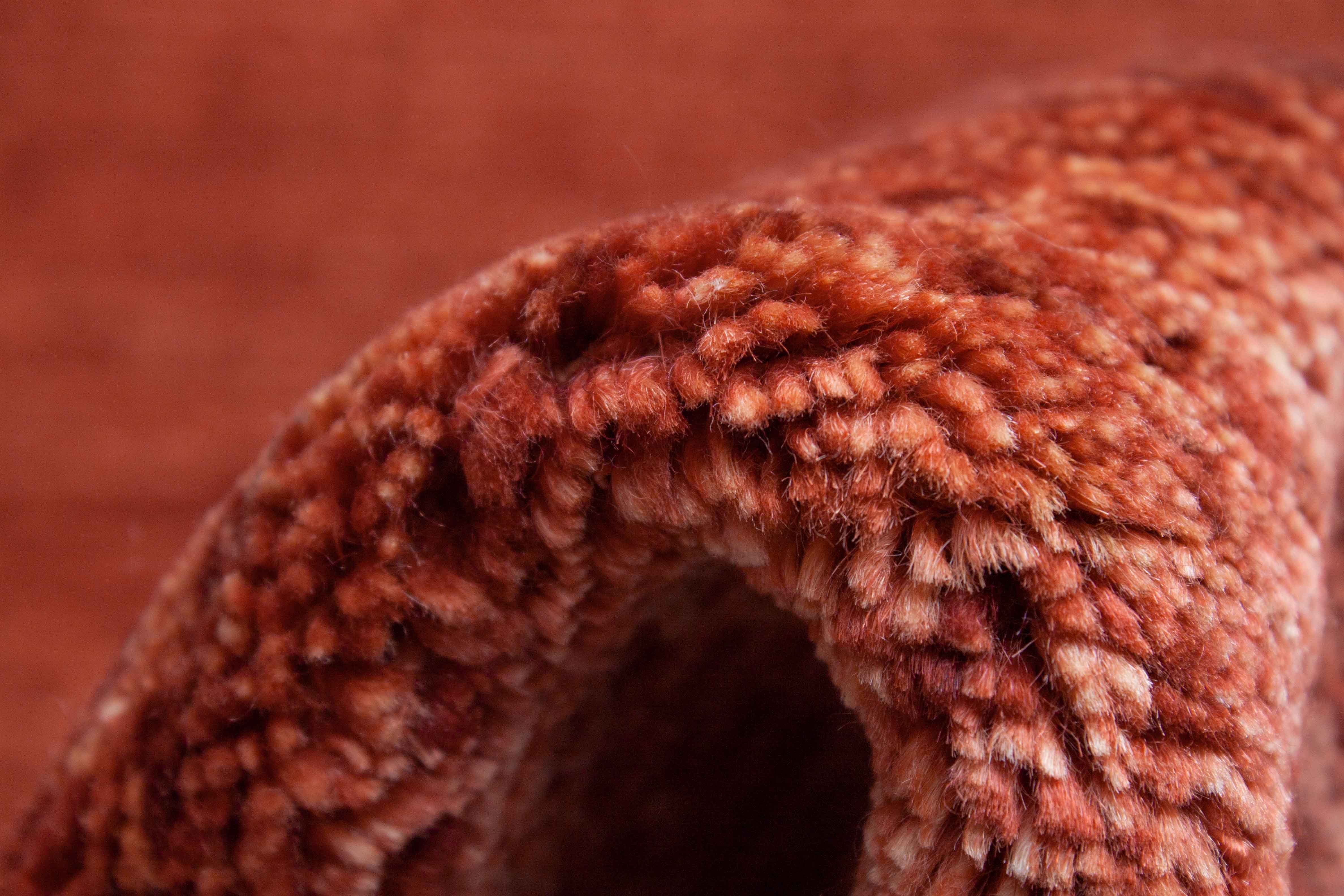 Eine Fotoaufnahme eines Lori Teppichs.