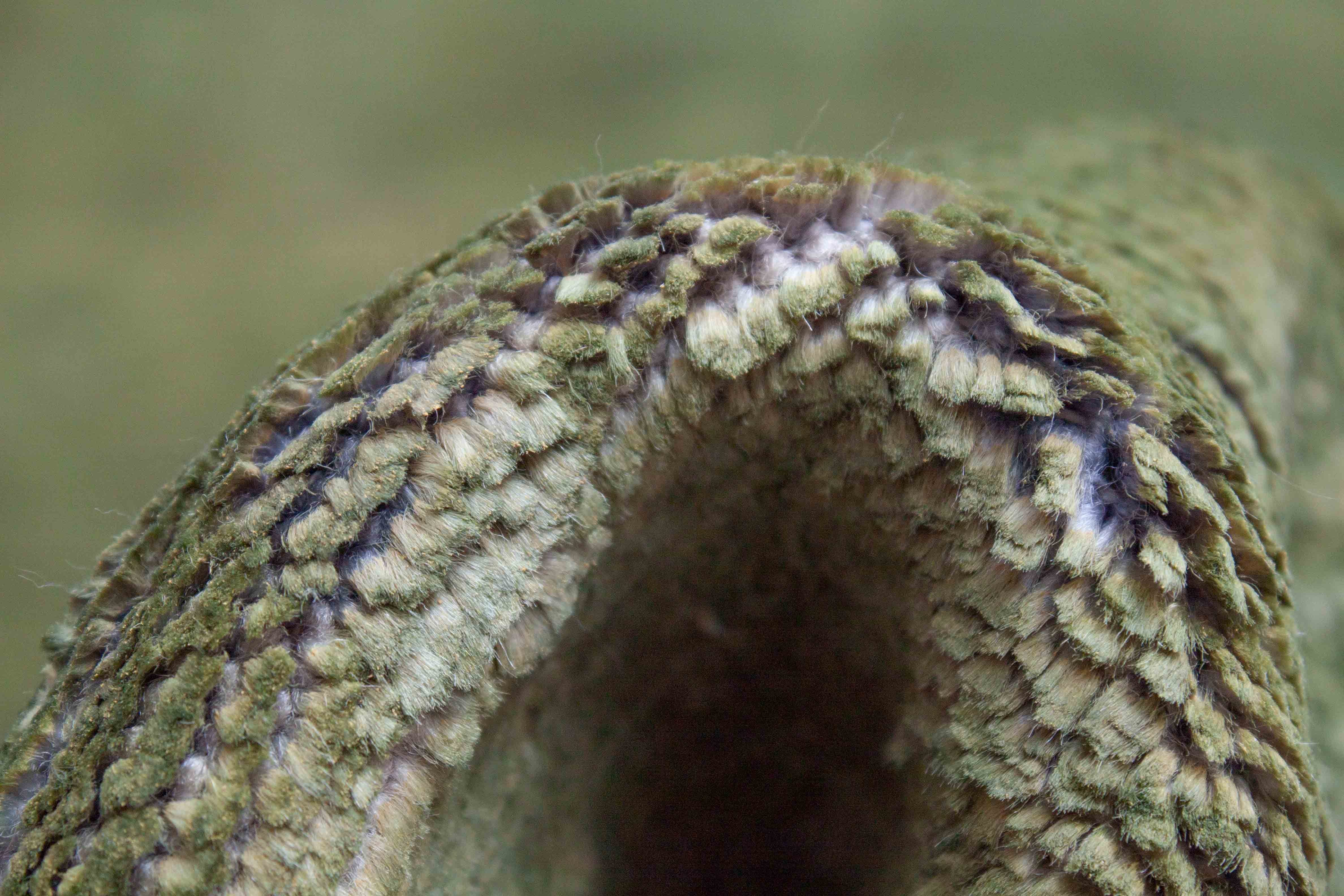 Eine Fotoaufnahme eines Tapis Teppichs.