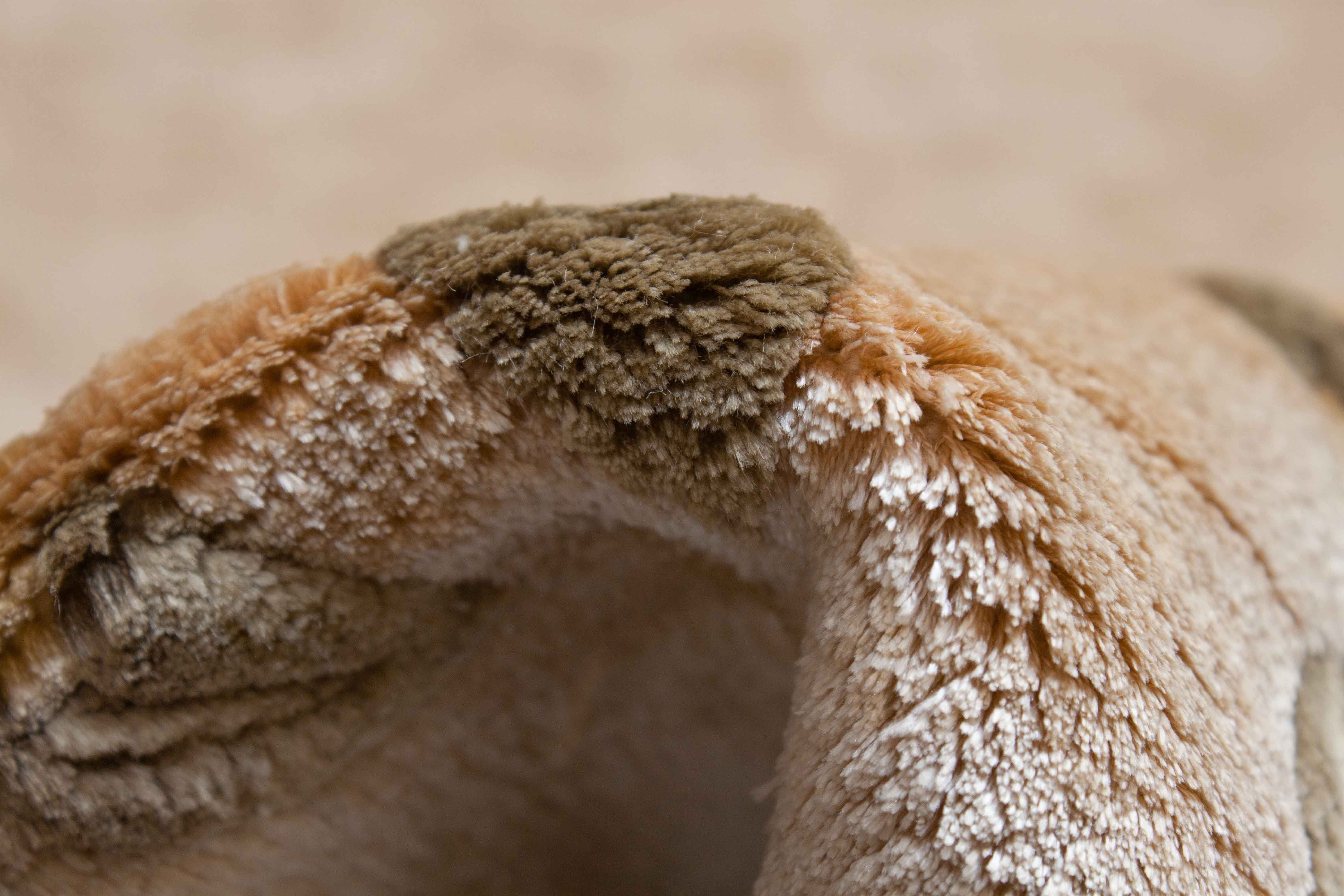 Eine Fotoaufnahme eines China Teppich Teppichs.