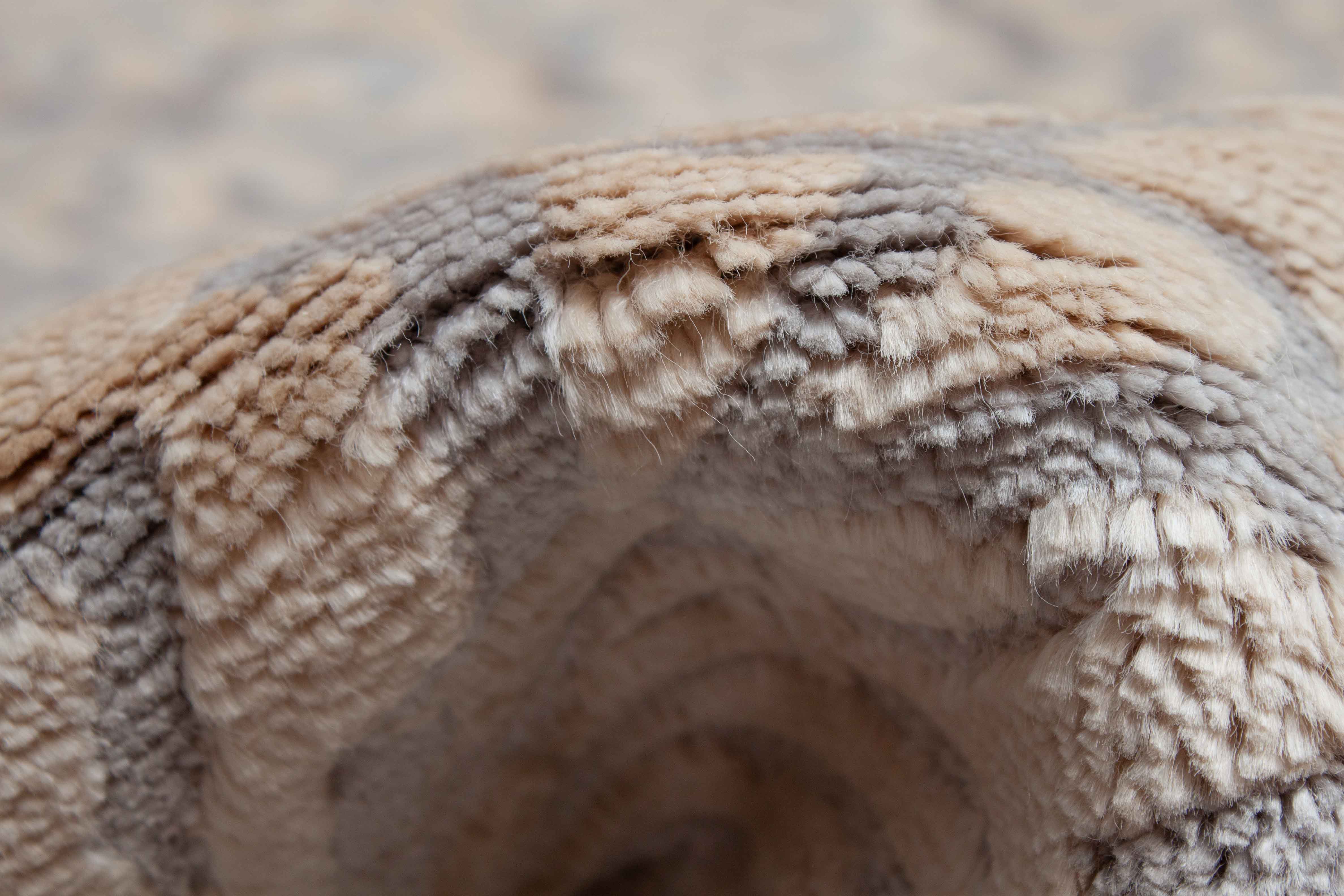 Eine Fotoaufnahme eines Terra Teppichs.