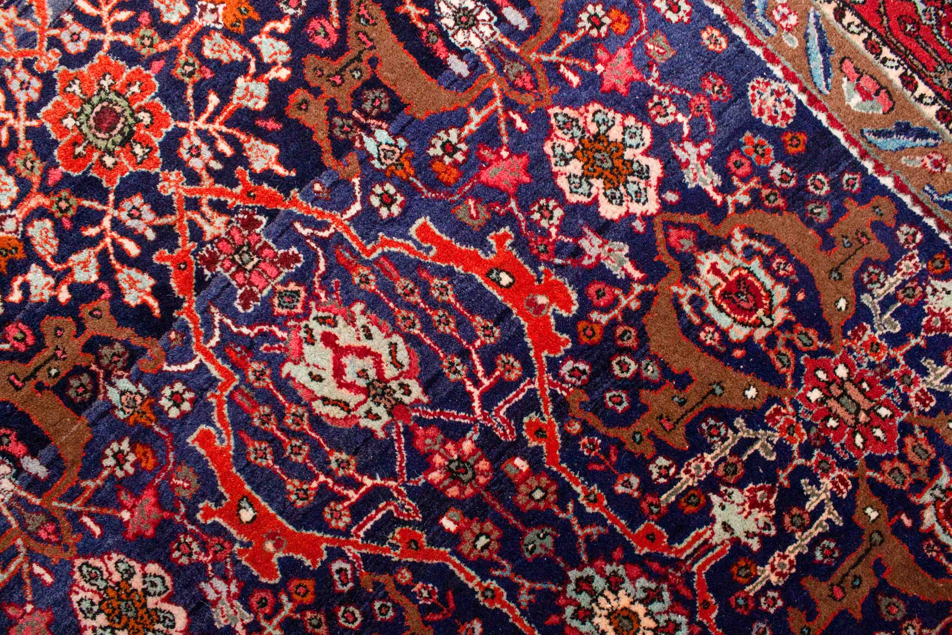 Bild vom Alter Bidjar Teppich - 7