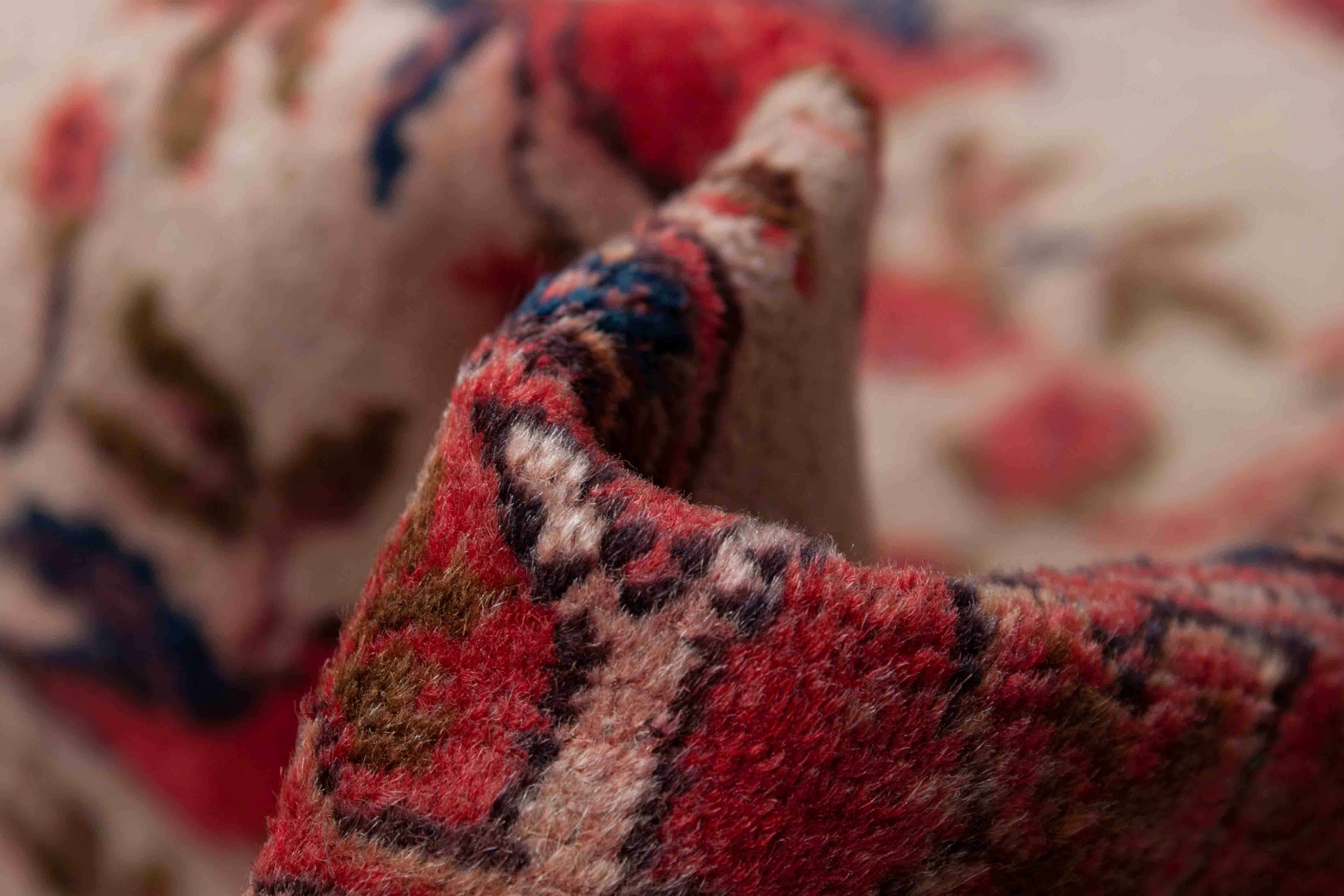 Bild vom Alter Afshari Teppich - 3