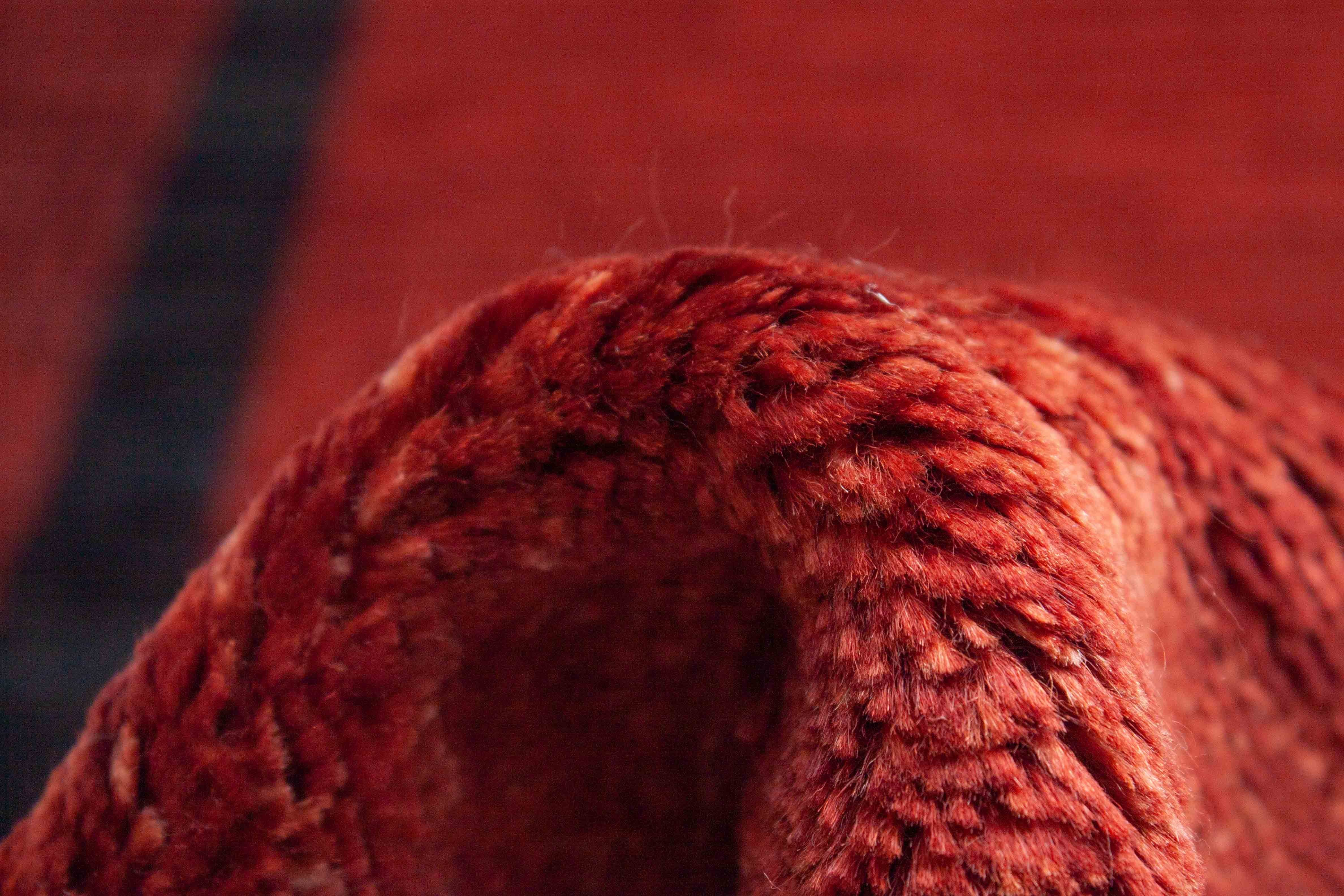 Eine Fotoaufnahme eines Lori Teppichs.