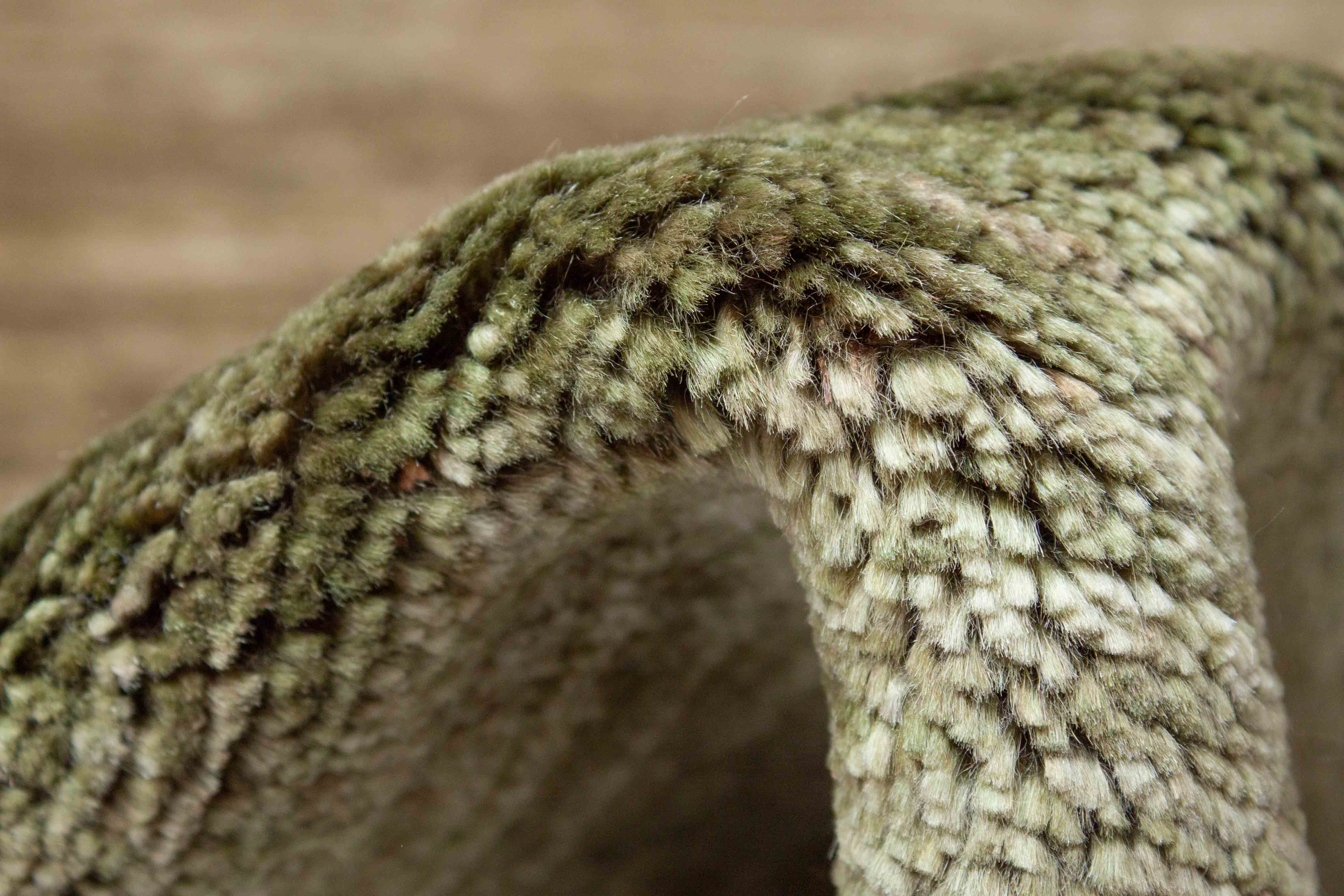 Eine Fotoaufnahme eines Lori Teppichs.