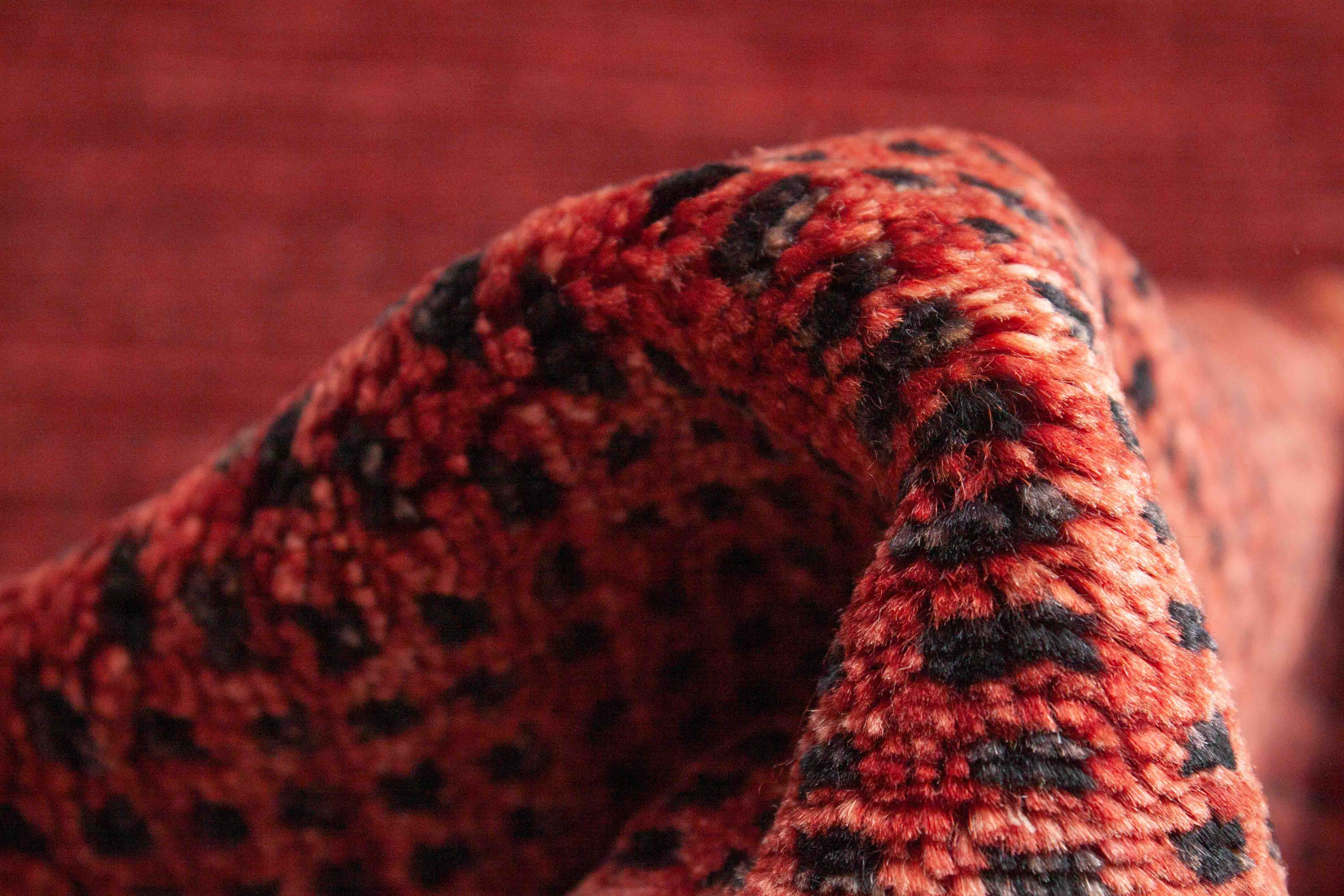 Eine Fotoaufnahme eines Lori Teppichs.