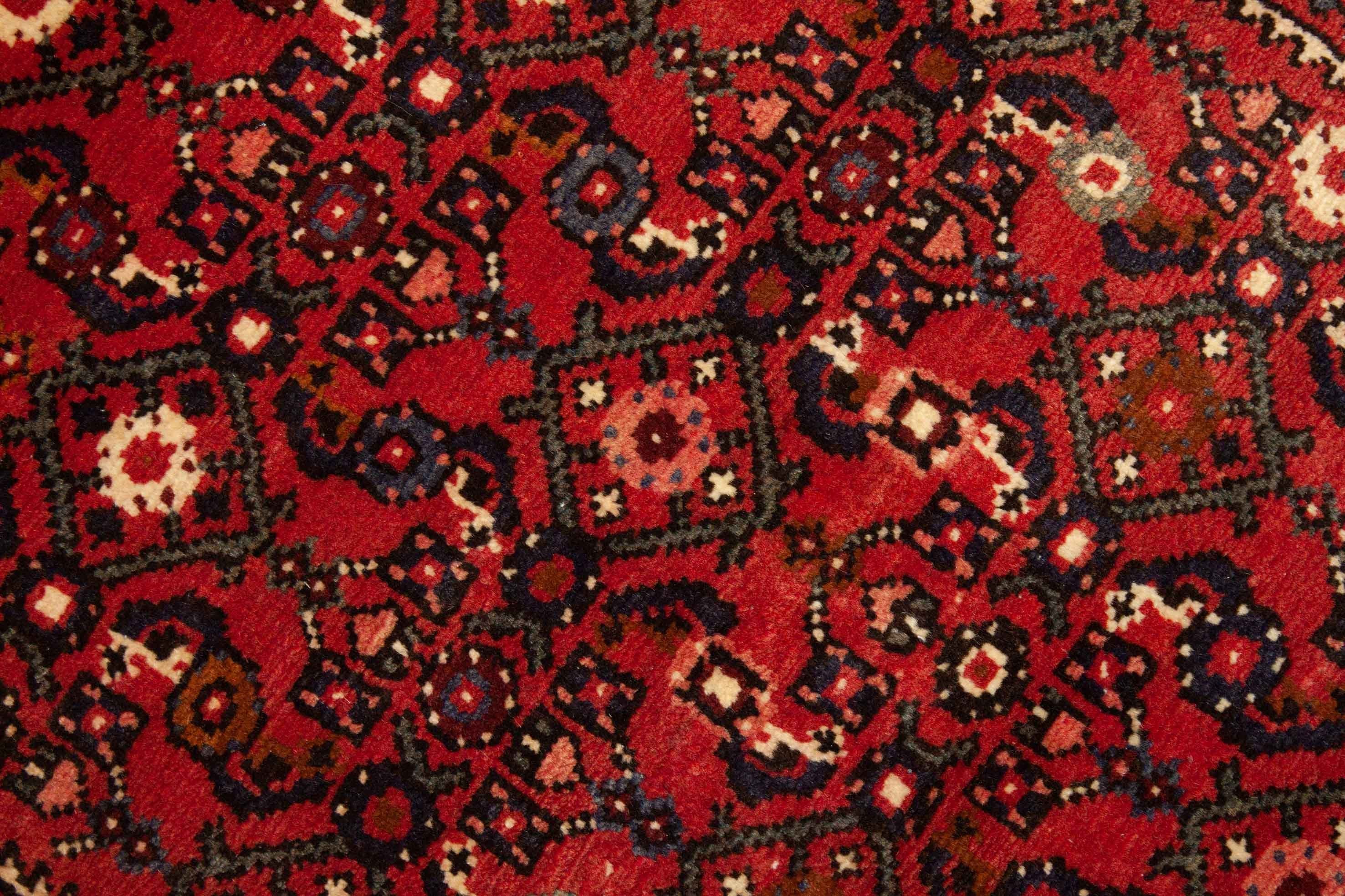 Bild vom Hosseinabad Teppich - 2