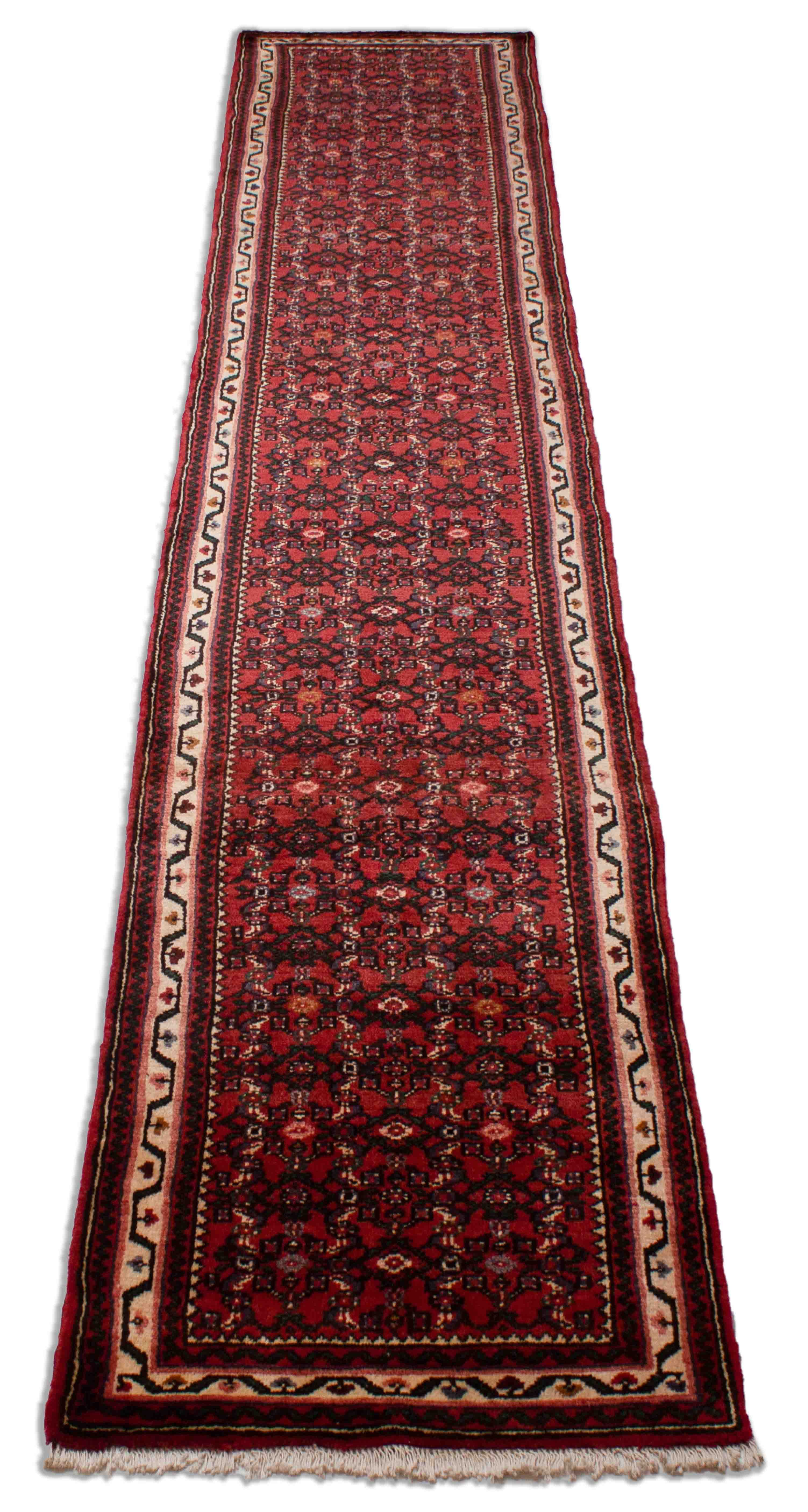 Eine Fotoaufnahme eines Hamadan Teppichs.