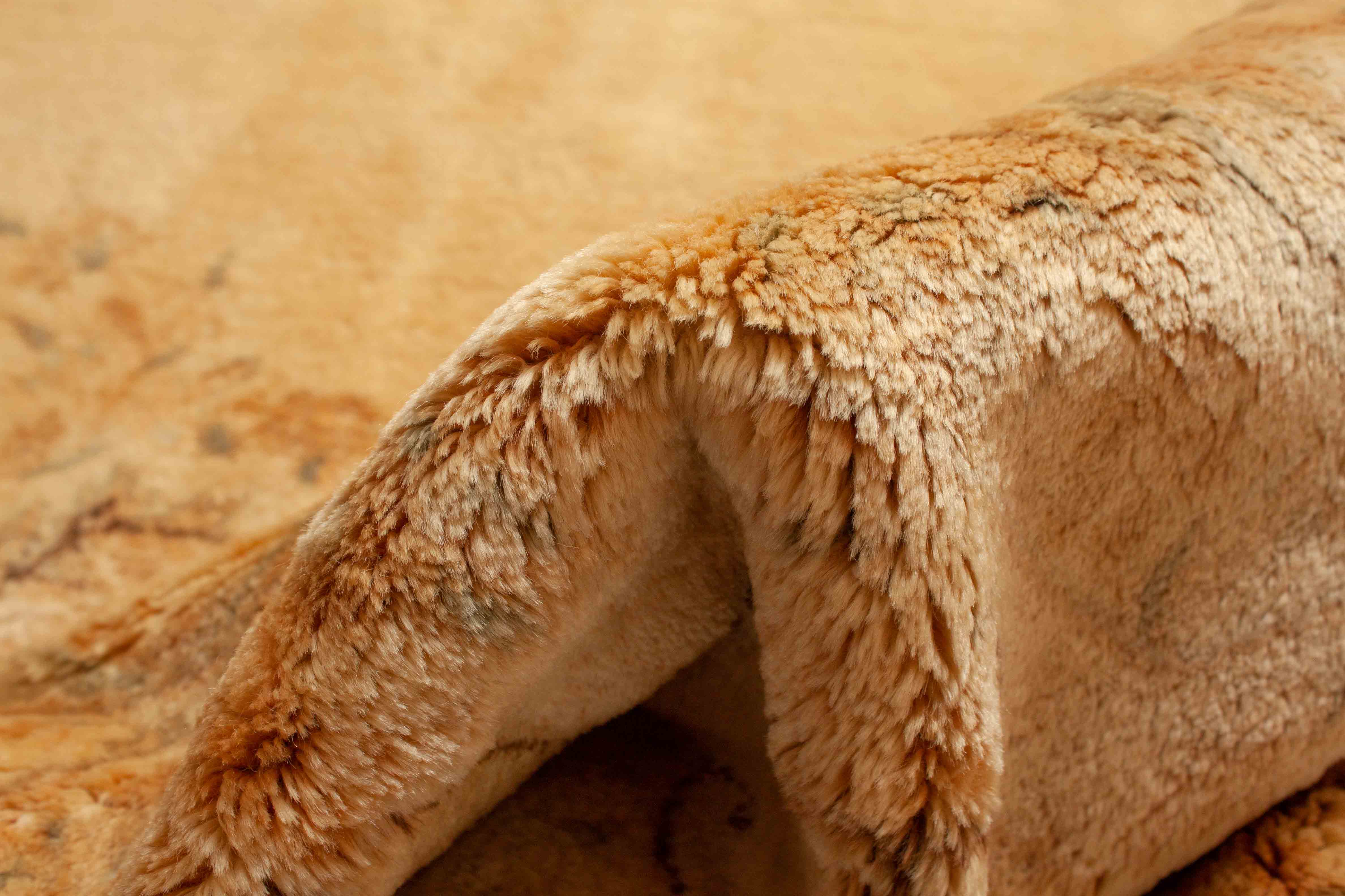 Alter Yazd | 495 cm x 296 cm | Nr. 9774