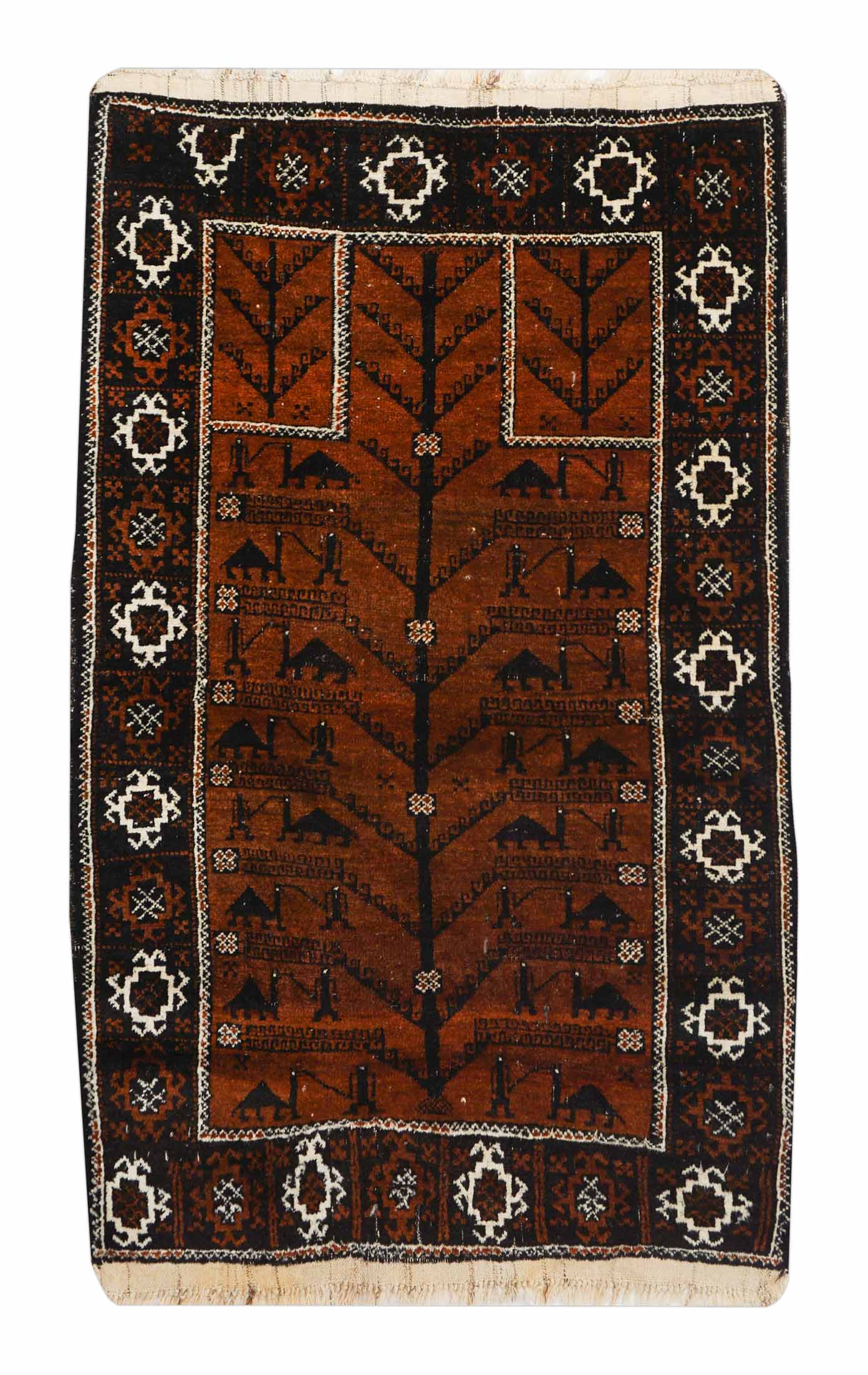 Belutsch | 140 cm x 87 cm | Nr. Z-1574