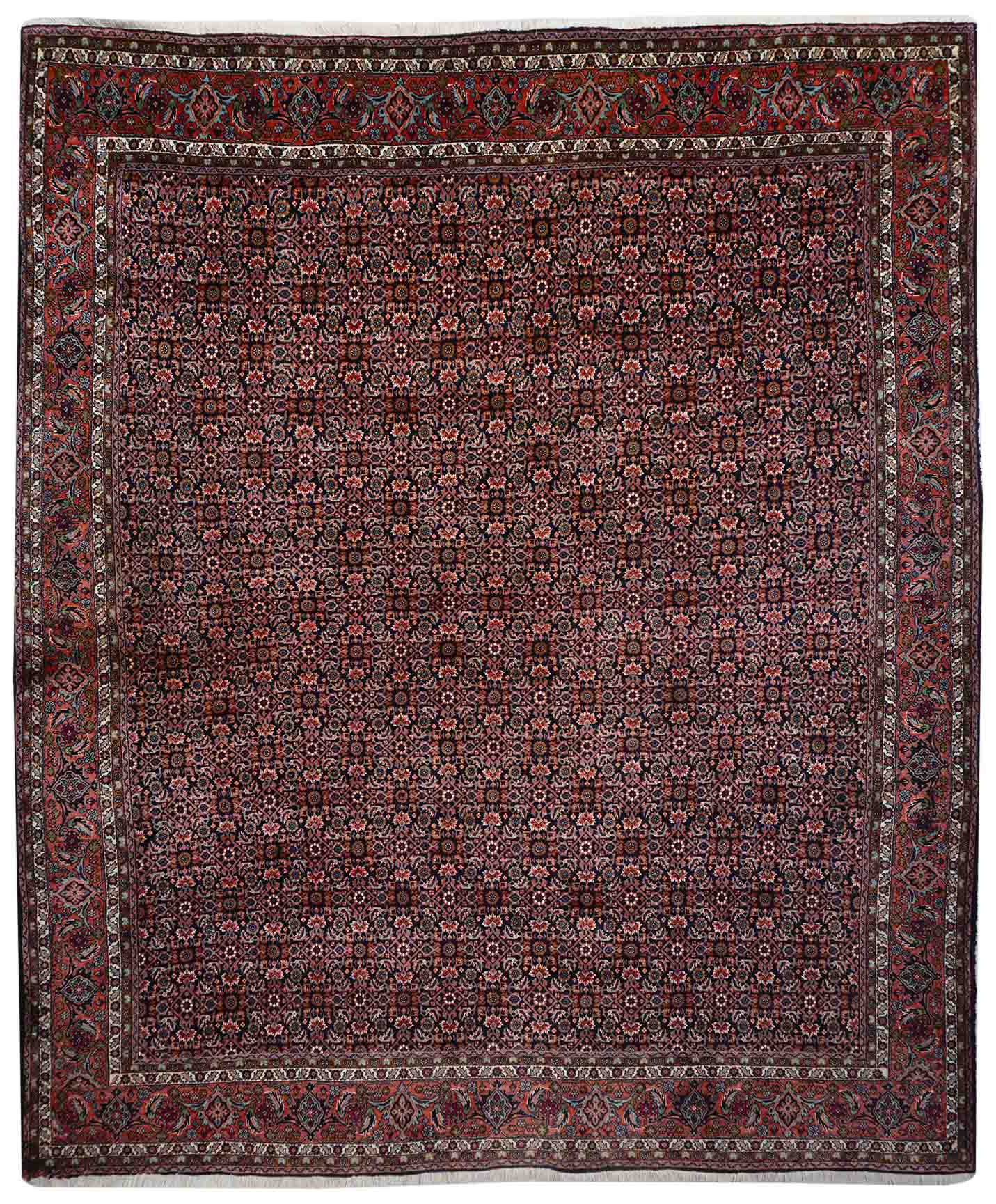 Bidjar | 295 cm x 252 cm | Nr. Z-2606