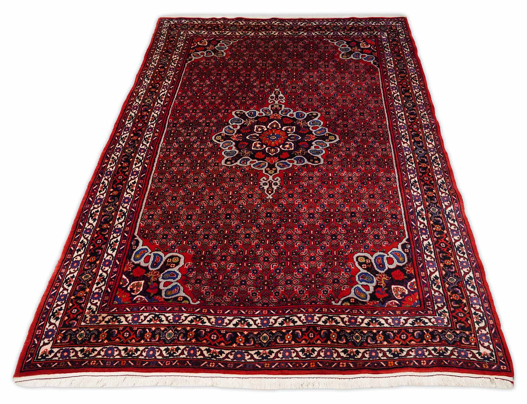 Bidjar | 297 cm x 207 cm | Nr. Z-534