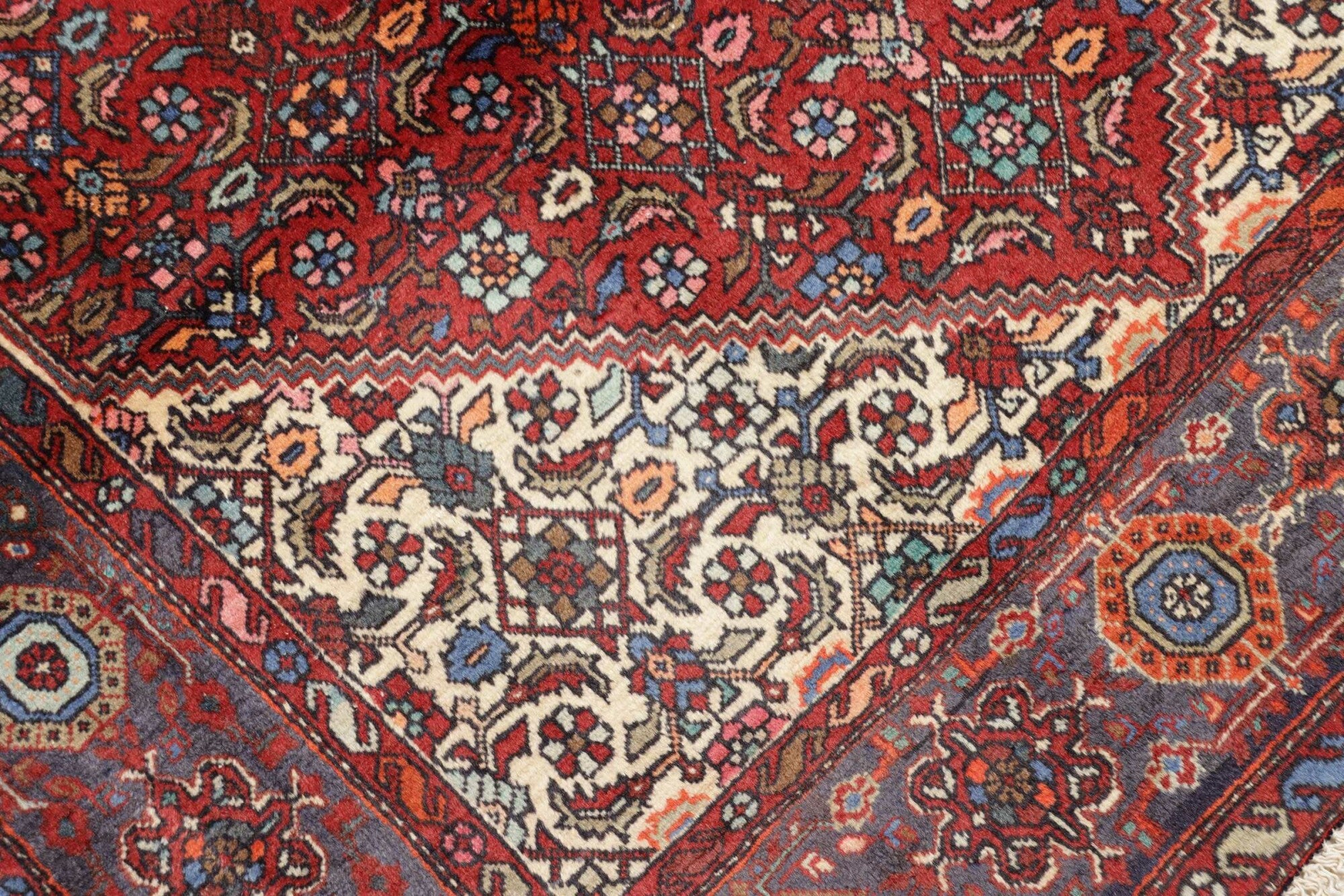 ゴルトグ | 182 x 115 cm | Nr. 12-178422