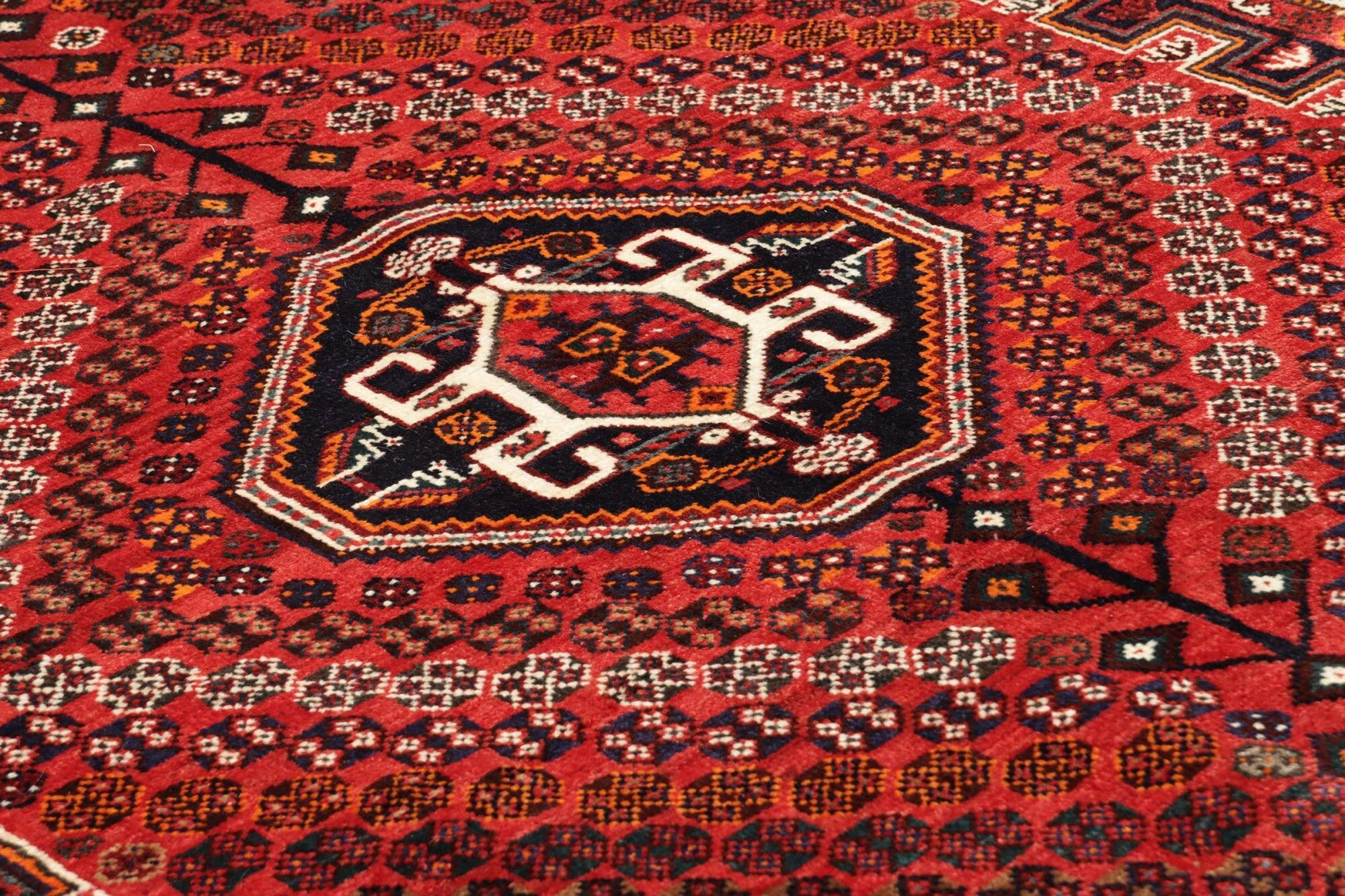 Chiraz | 254 x 170 cm | Nr. 12-431480