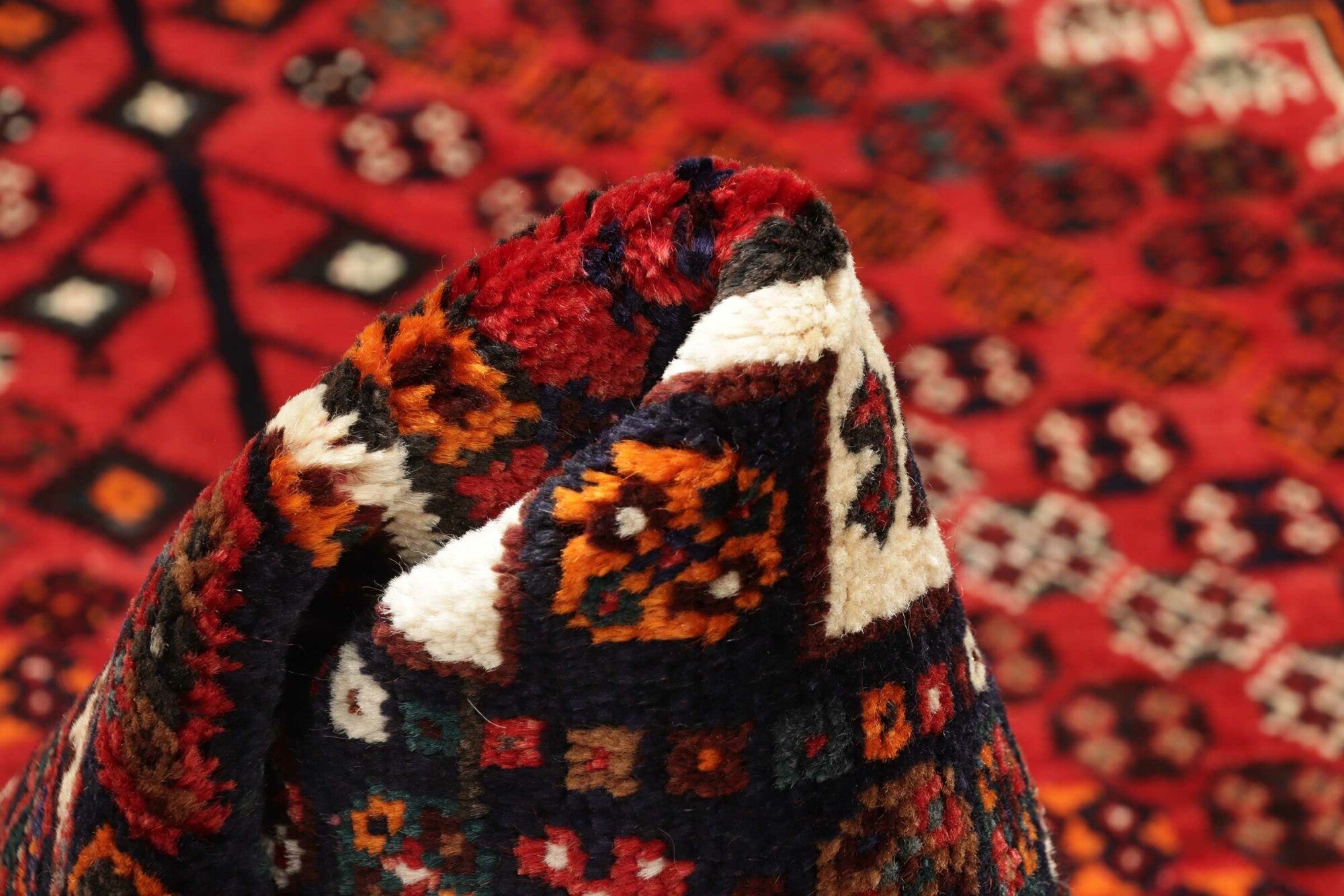 Shiraz | 254 cm x 170 cm | Nr. 12-431480