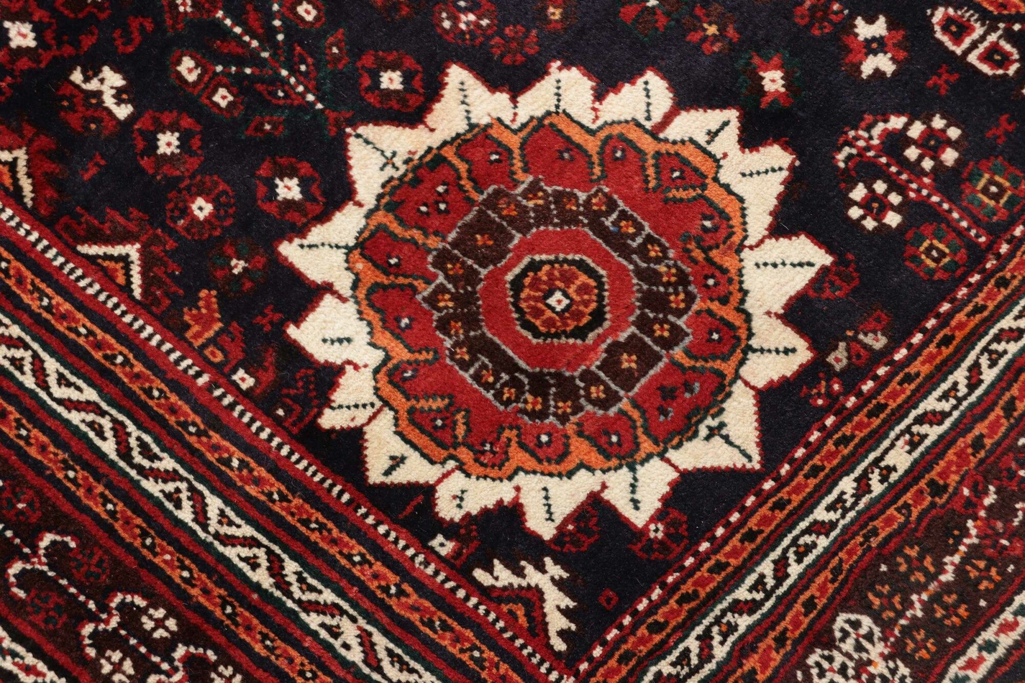 Shiraz | 323 cm x 220 cm | Nr. 12-431536