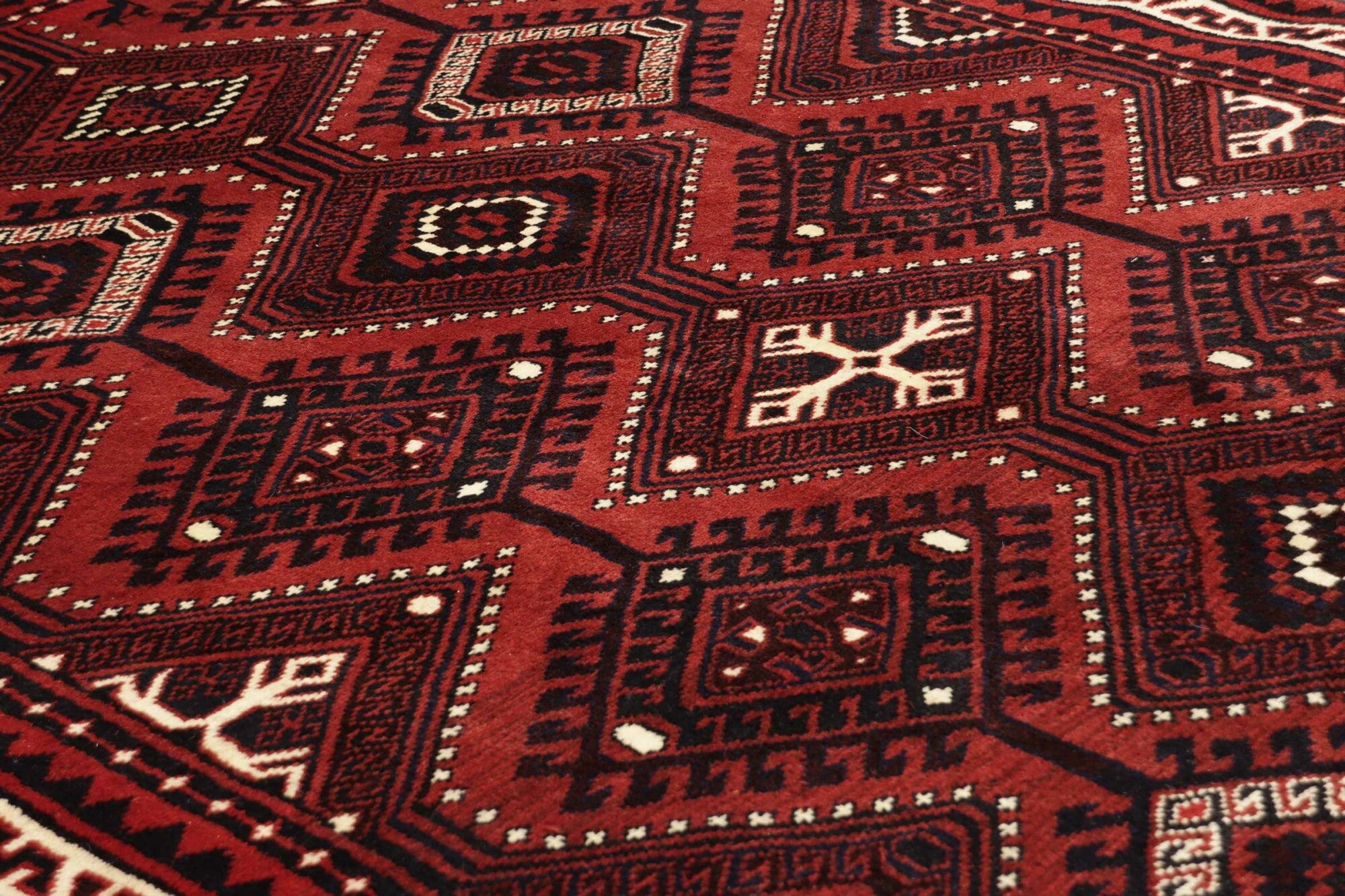 Chiraz | 254 cm x 180 cm | Nr. 12-440039