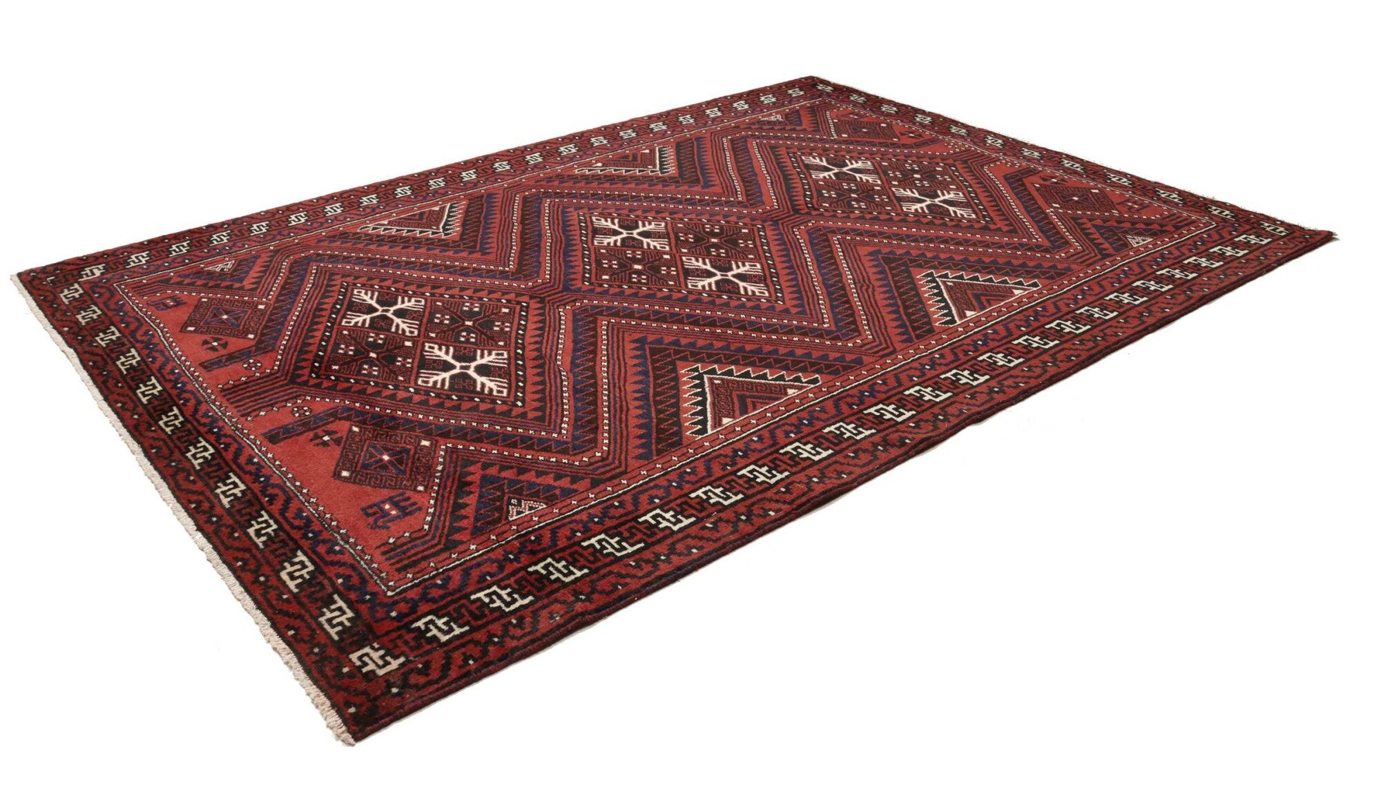 Shiraz | 310 cm x 220 cm | Nr. 12-446992