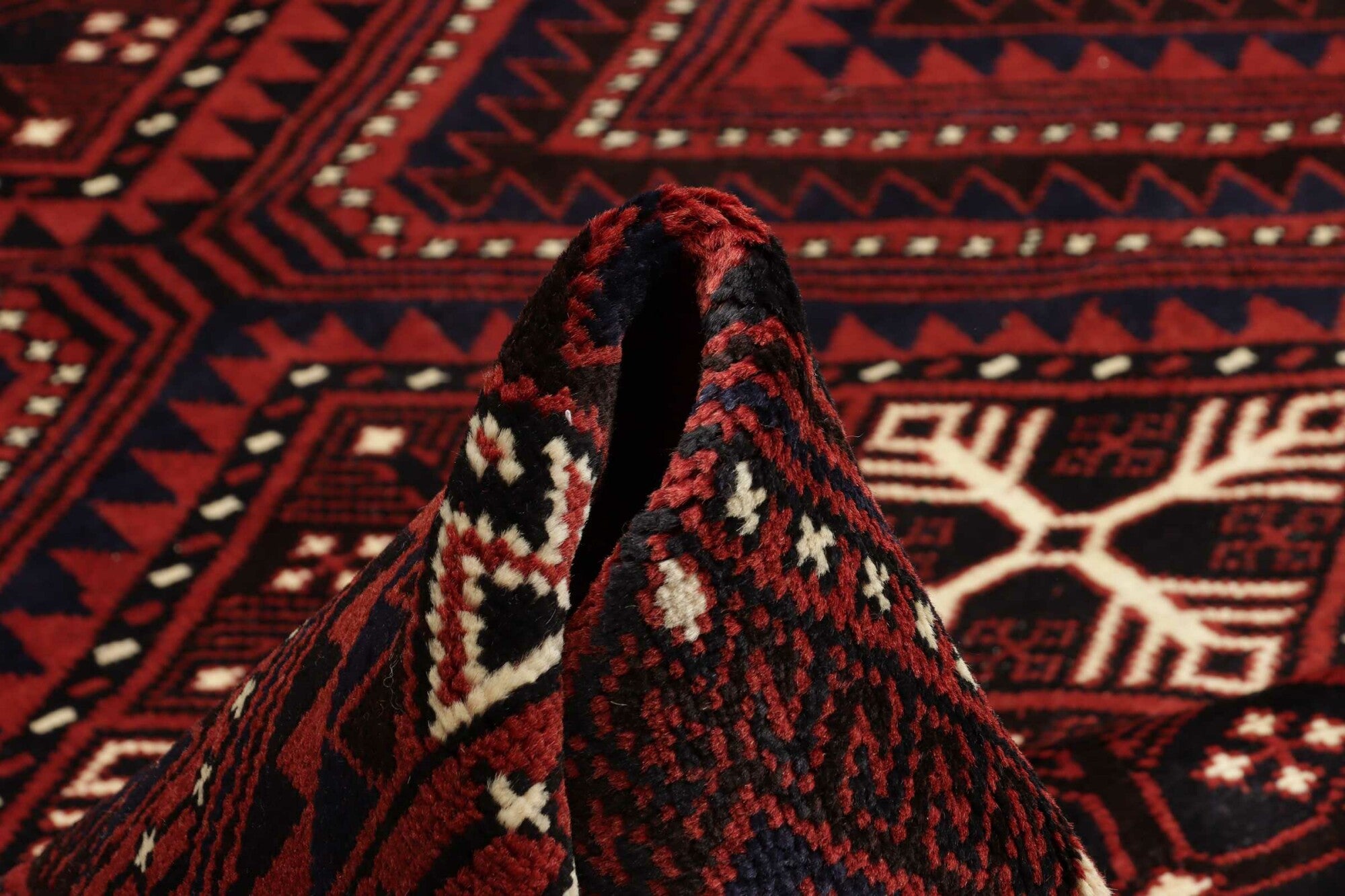 Shiraz | 310 cm x 220 cm | Nr. 12-446992