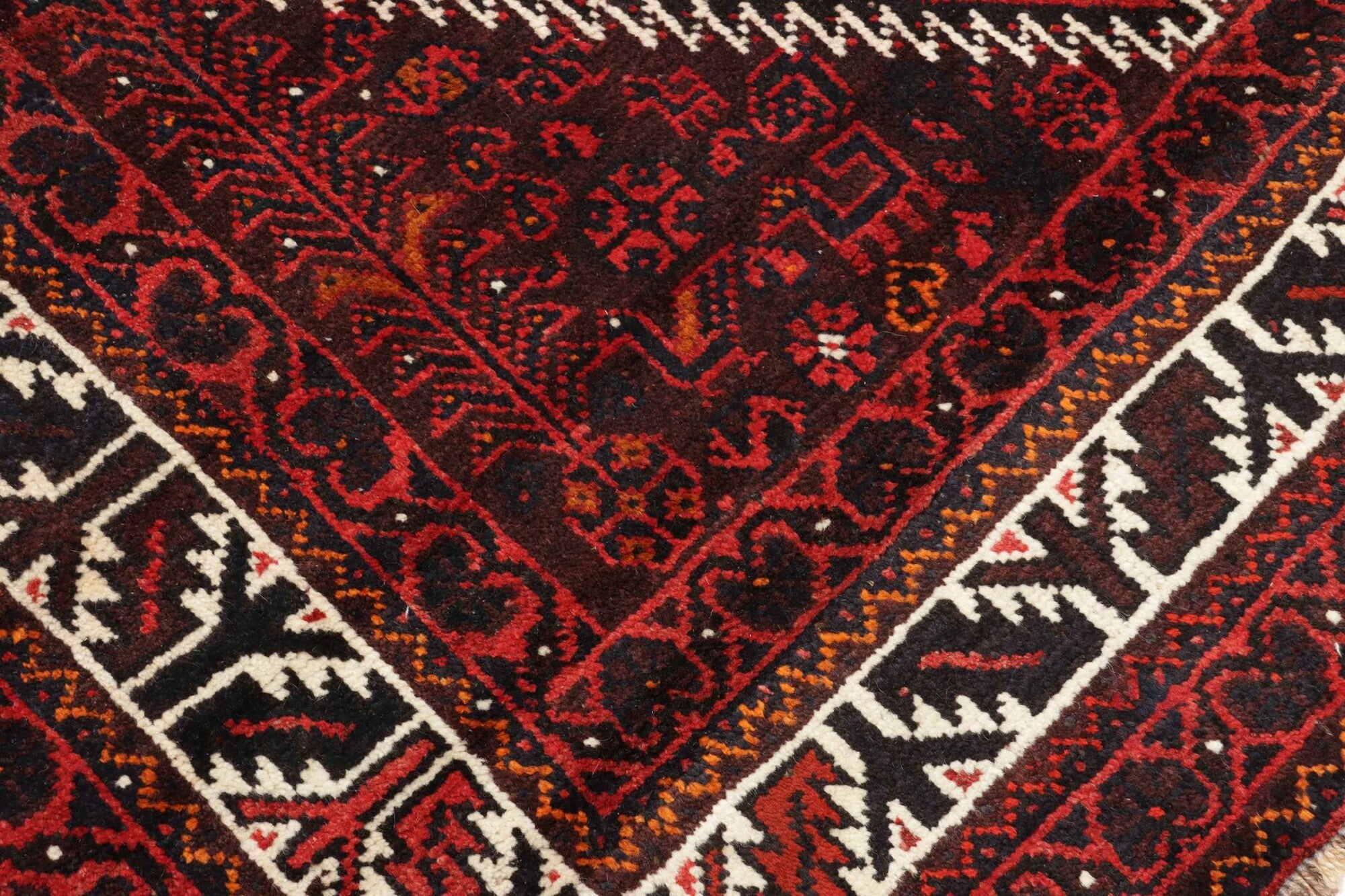Shiraz | 240 cm x 170 cm | Nr. 12-447085