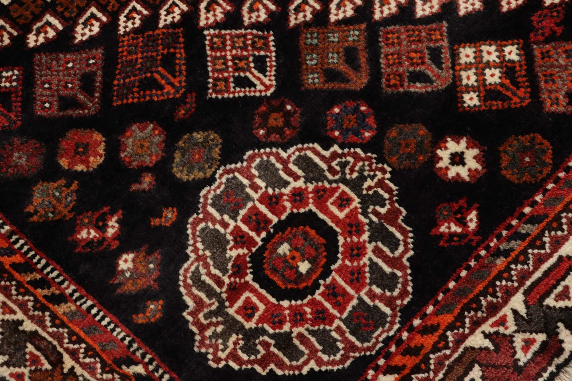 Shiraz | 267 cm x 172 cm | Nr. 12-455180