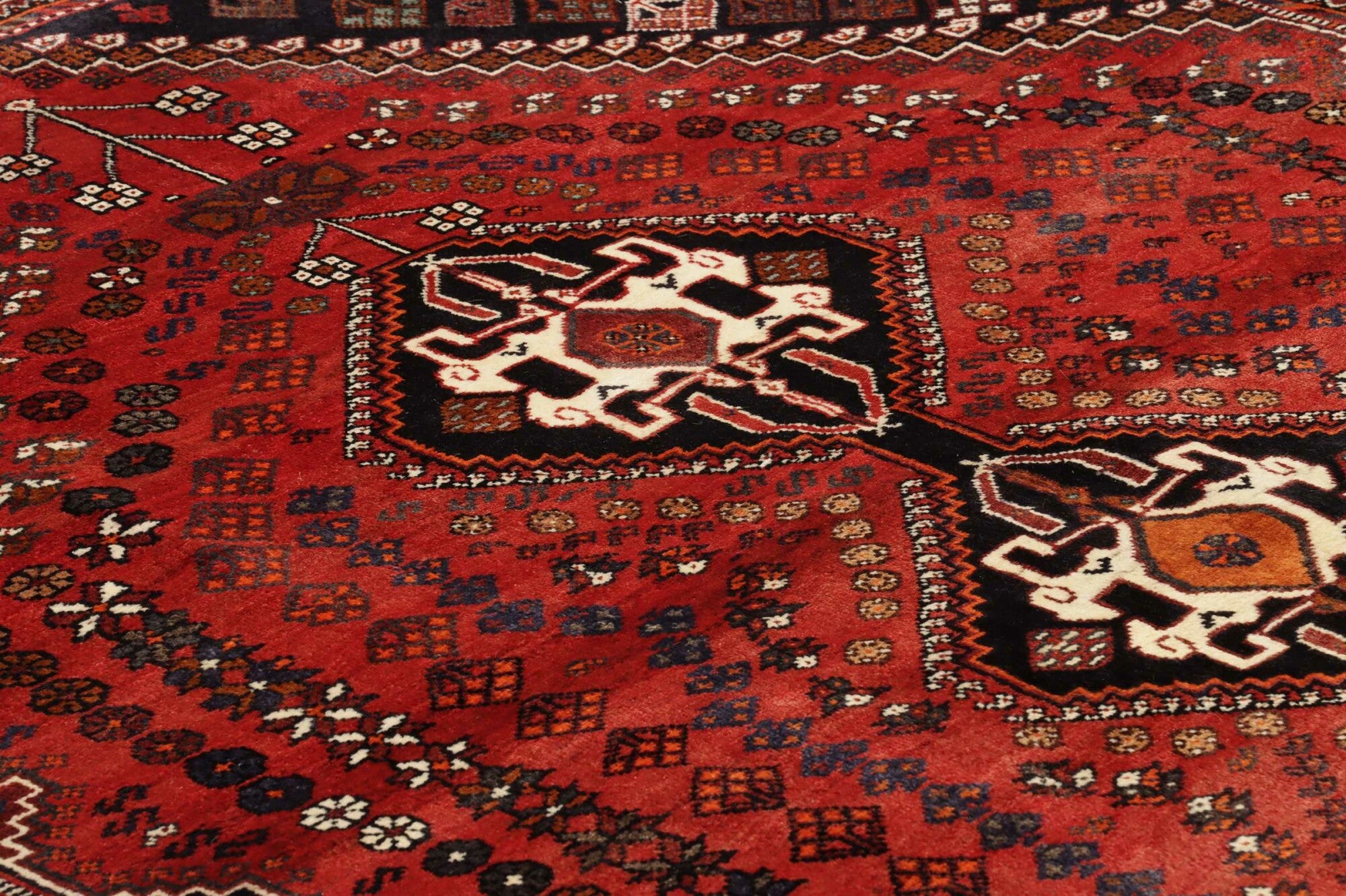 Shiraz | 267 cm x 172 cm | Nr. 12-455180