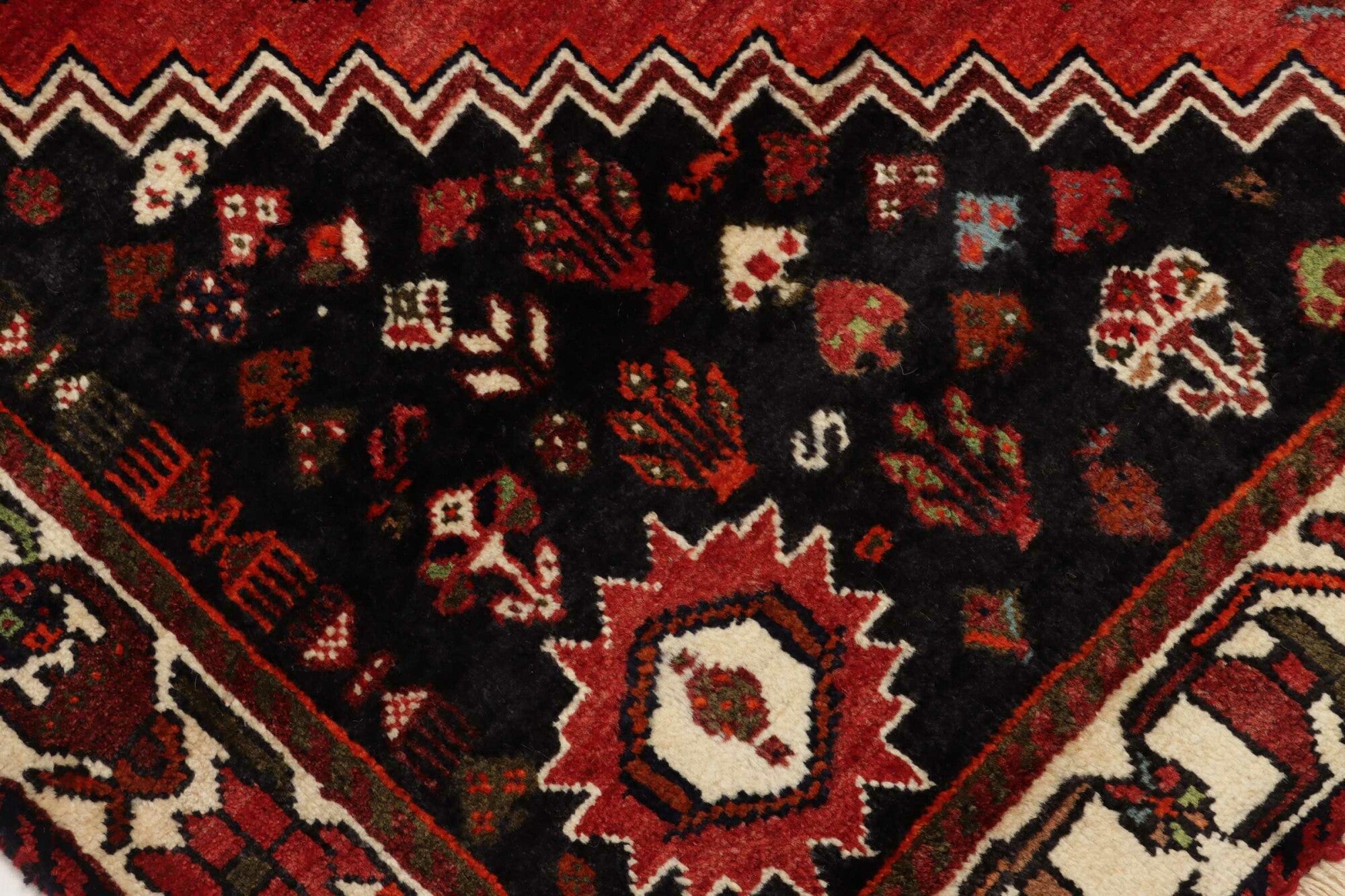 Shiraz | 253 cm x 163 cm | Nr. 12-455181