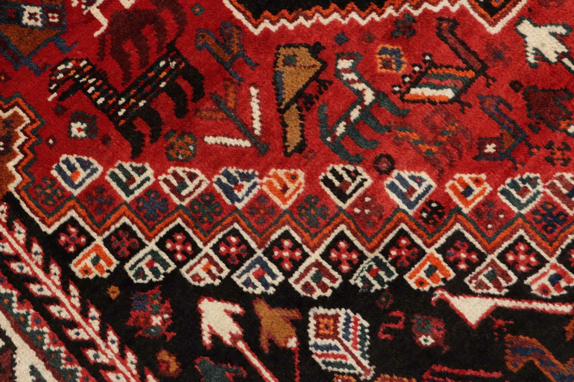 Shiraz | 257 cm x 173 cm | Nr. 12-455186