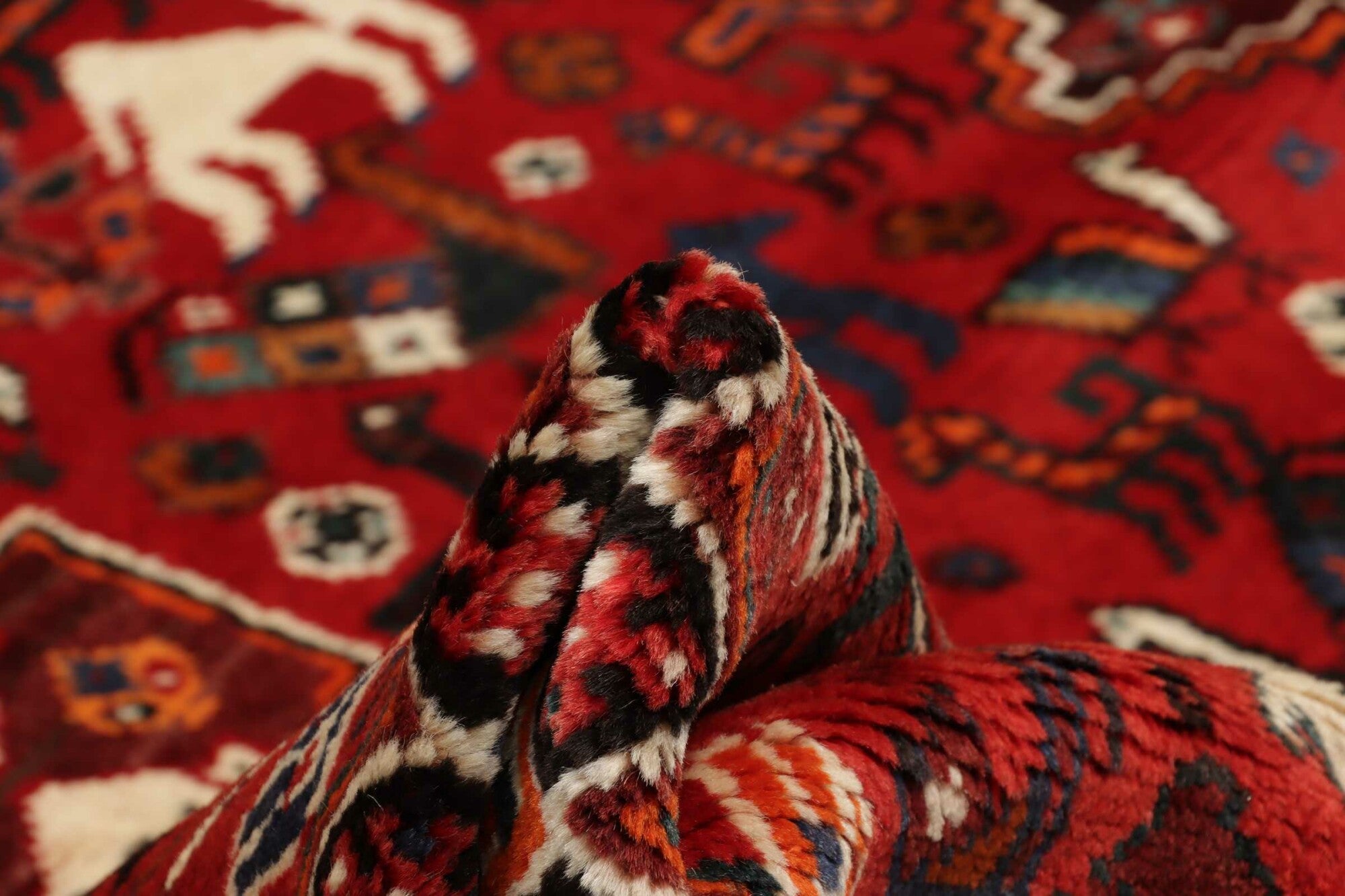 Shiraz | 257 cm x 173 cm | Nr. 12-455186