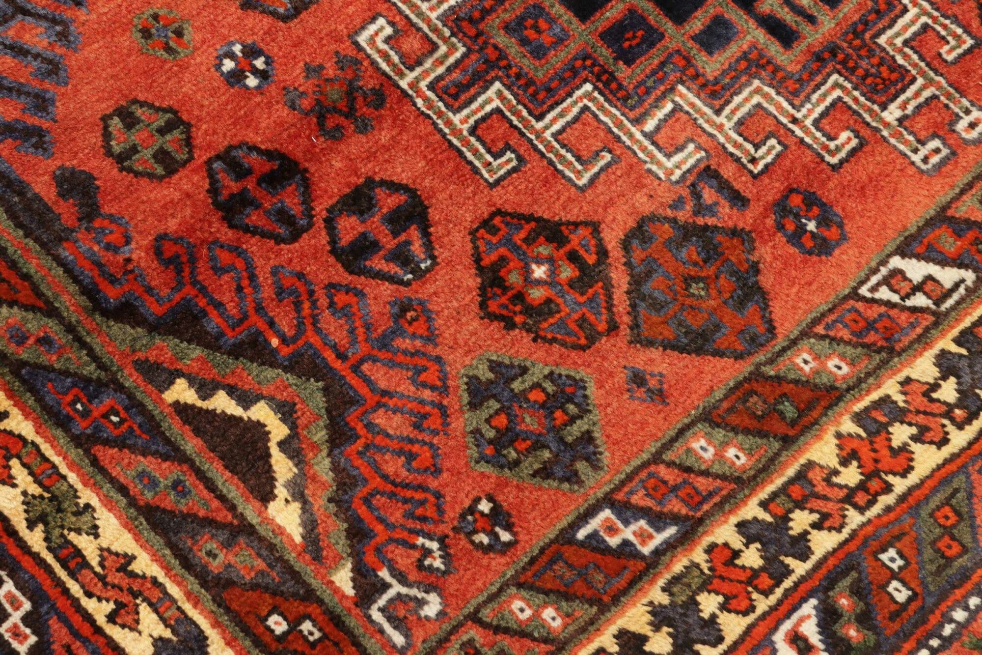 Shiraz | 250 cm x 160 cm | Nr. 12-455648