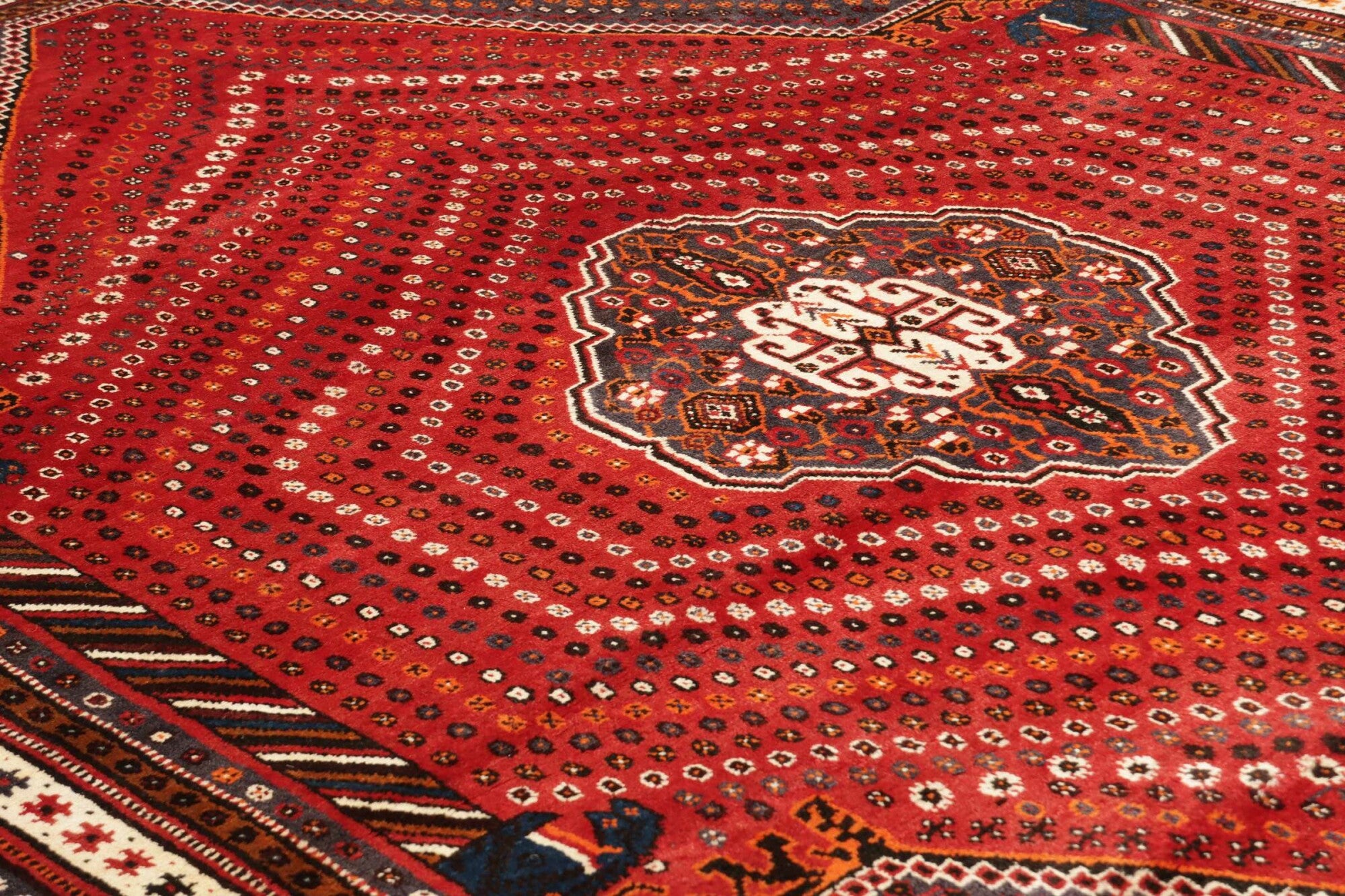 Shiraz | 260 cm x 180 cm | Nr. 12-455649