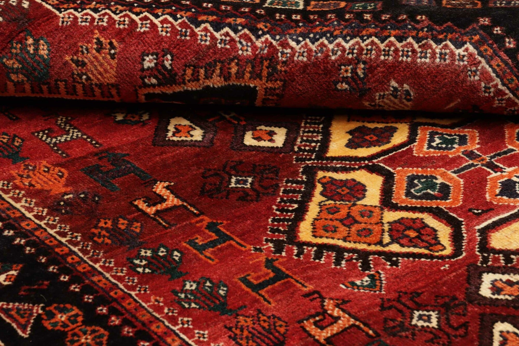 Shiraz | 245 cm x 165 cm | Nr. 12-455651