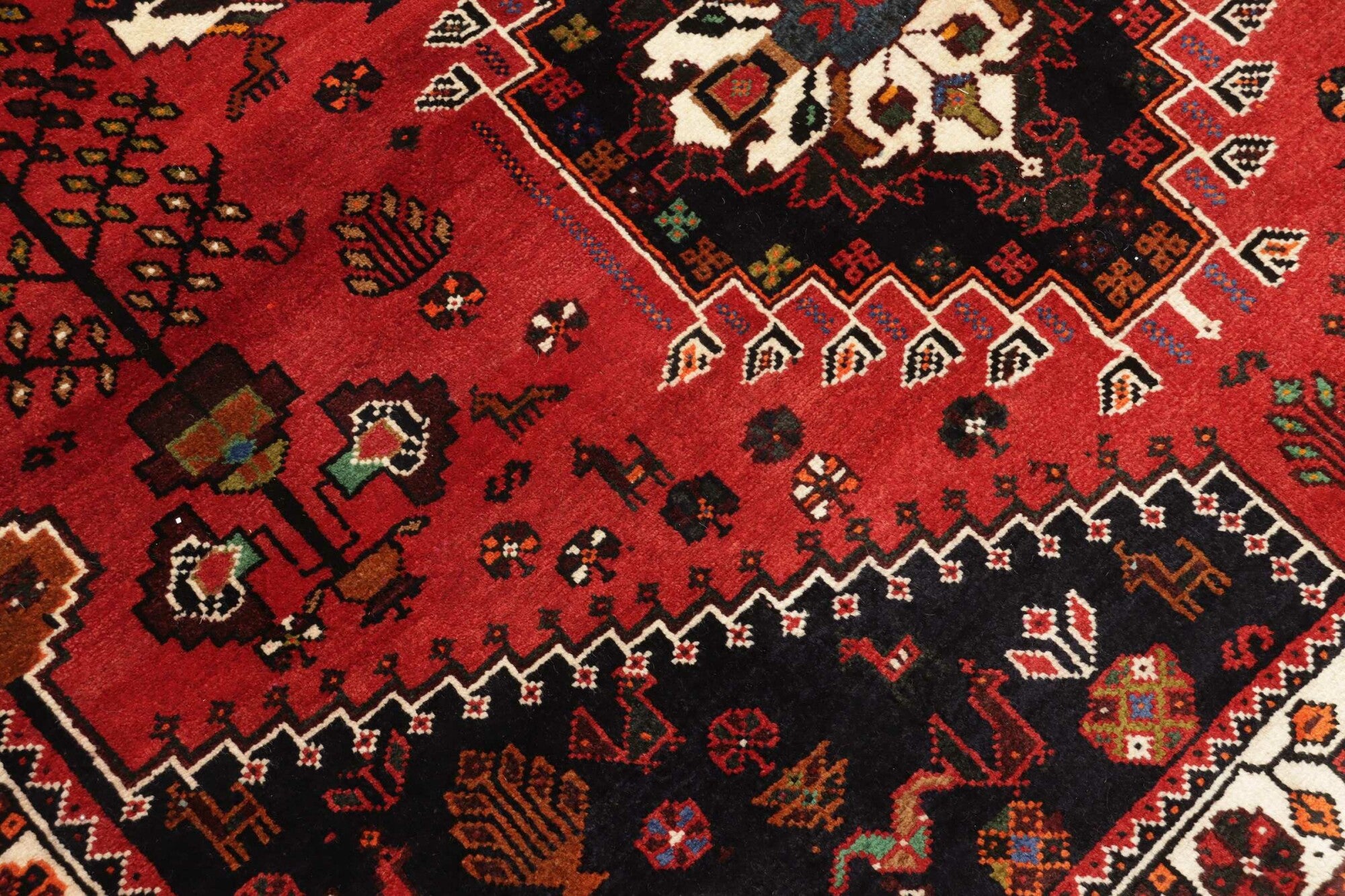 Shiraz | 259 cm x 173 cm | Nr. 12-455656