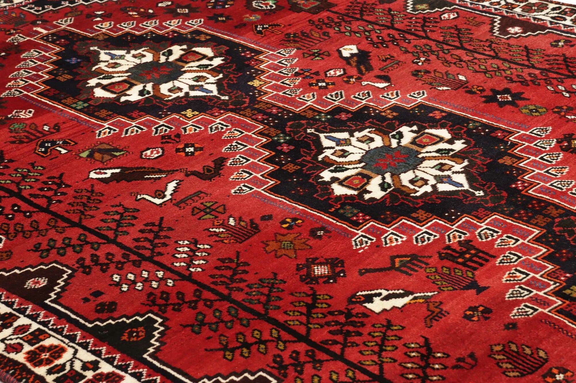 Shiraz | 259 cm x 173 cm | Nr. 12-455656