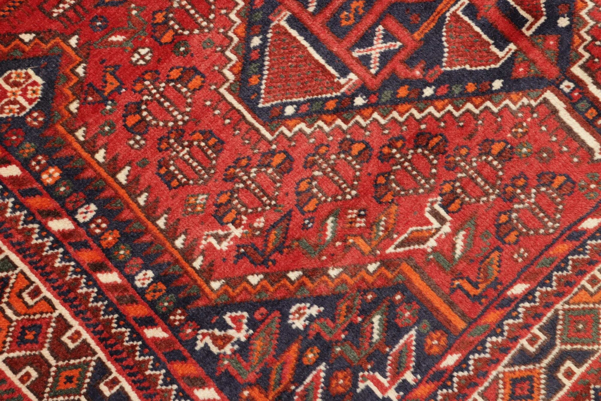 Shiraz | 259 x 155 cm | Nr. 12-455666