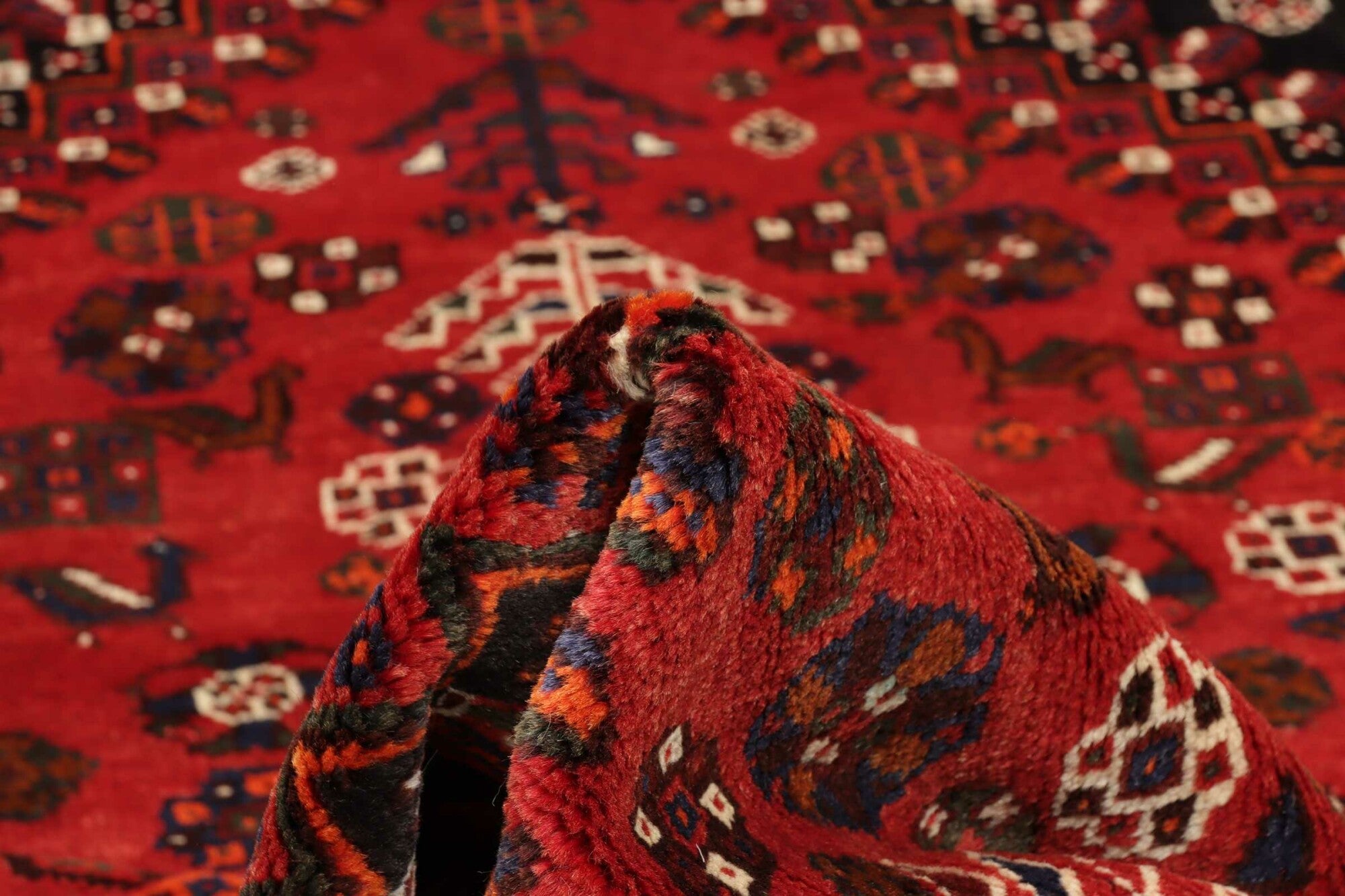 Shiraz | 257 cm x 165 cm | Nr. 12-455679