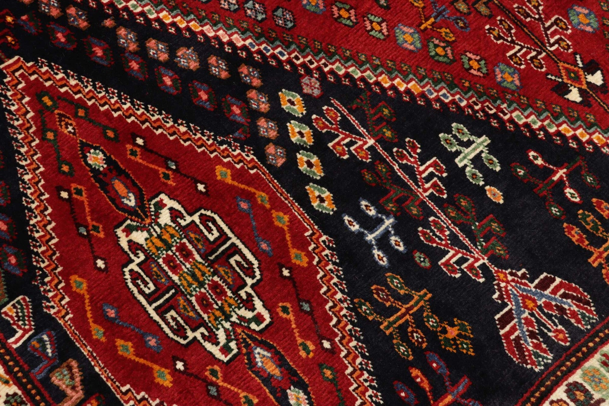 Shiraz | 260 x 163 cm | Nr. 12-455692