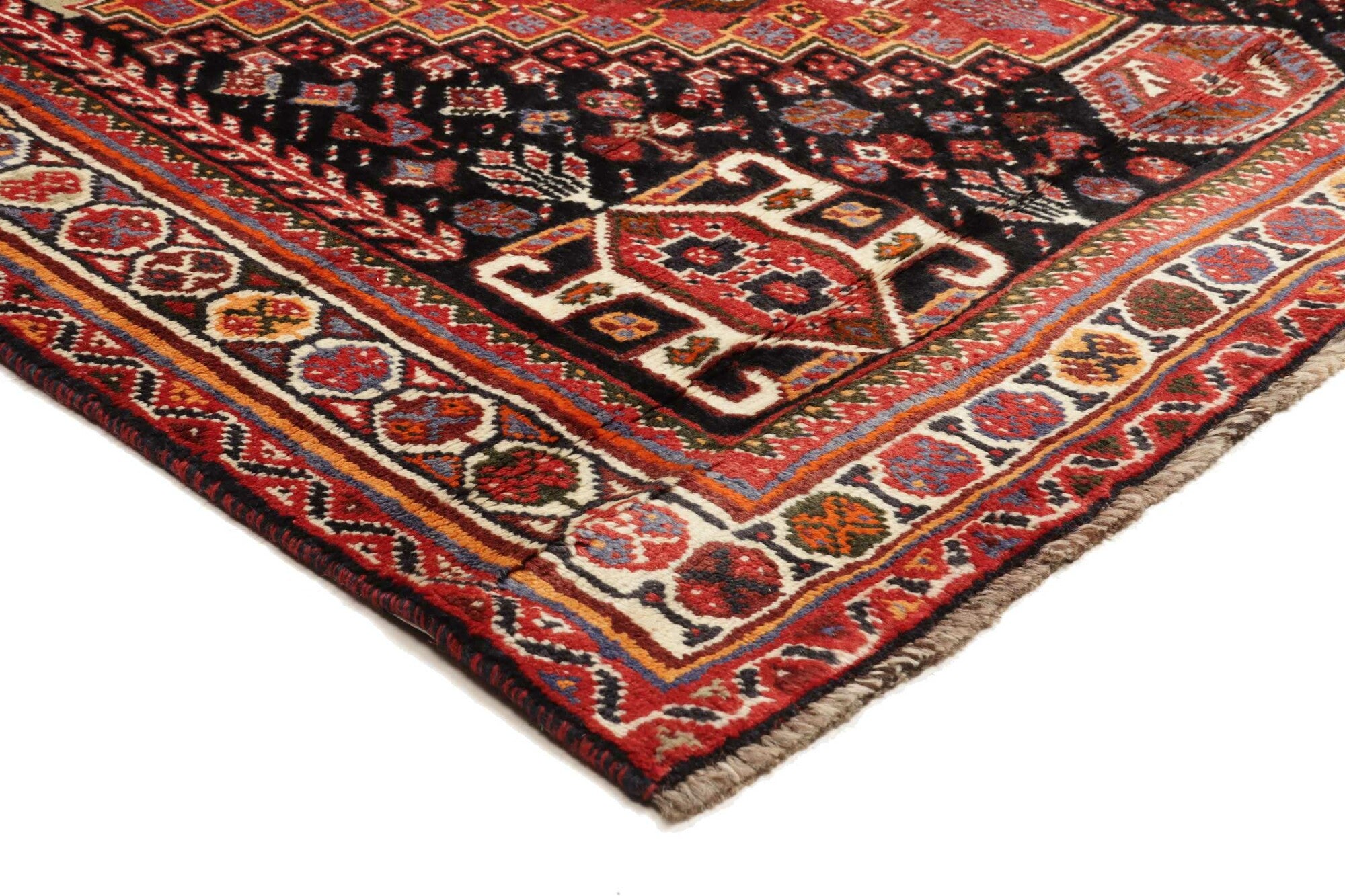 Shiraz | 260 cm x 170 cm | Nr. 12-455694