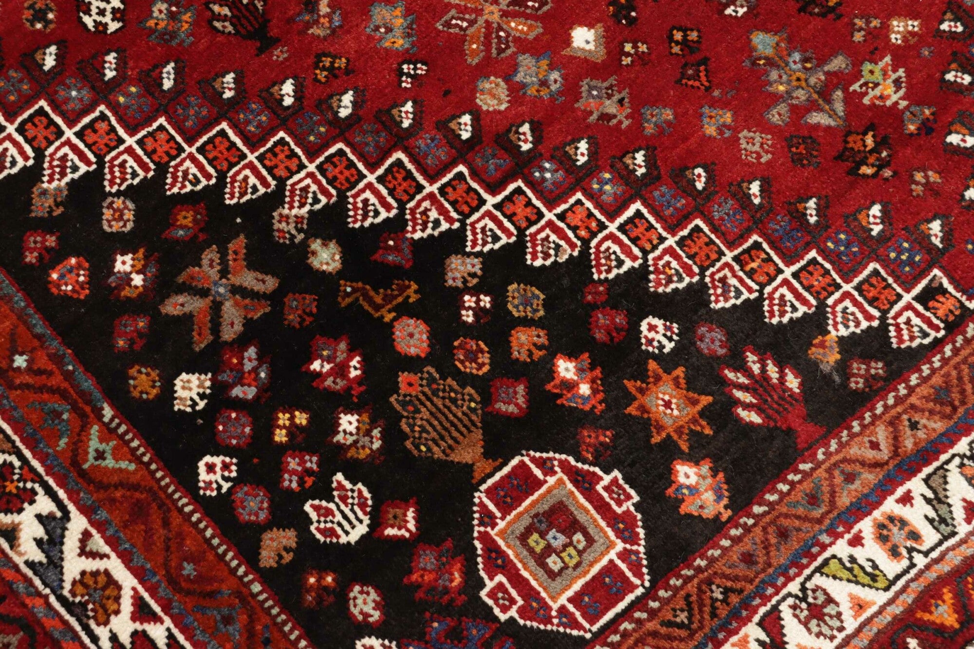 Shiraz | 250 cm x 175 cm | Nr. 12-455695