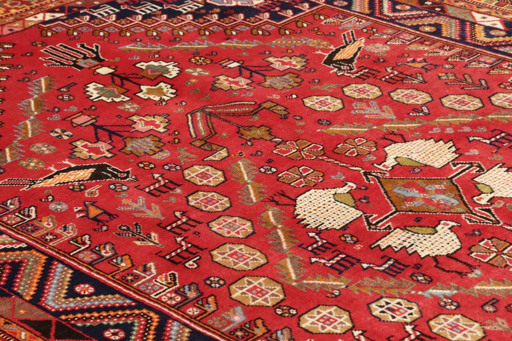 Shiraz | 255 cm x 168 cm | Nr. 12-455708