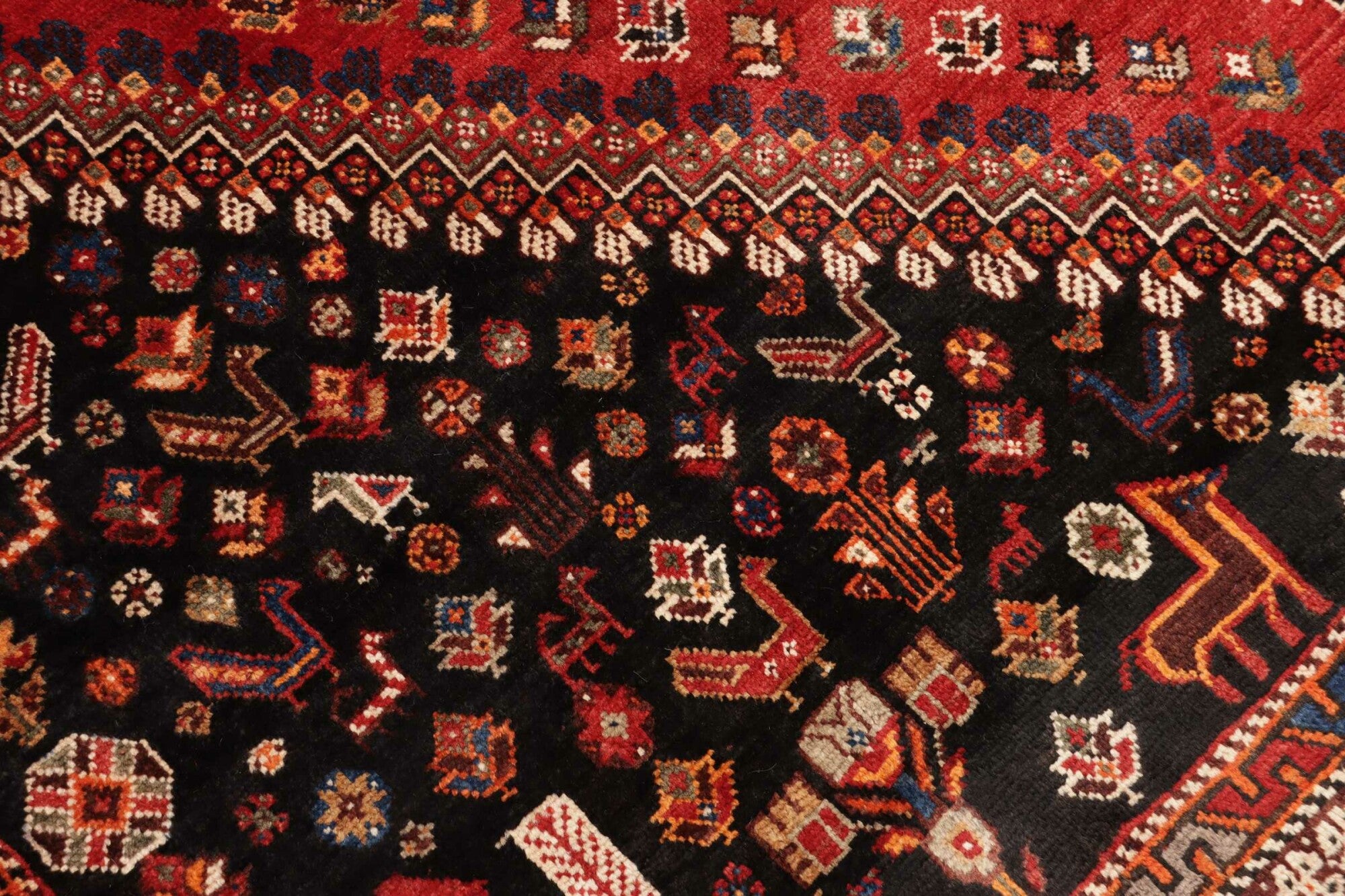 Shiraz | 285 cm x 163 cm | Nr. 12-455709