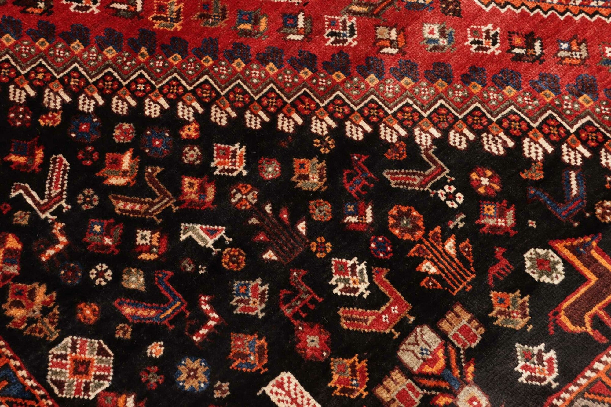 Shiraz | 285 cm x 163 cm | Nr. 12-455709