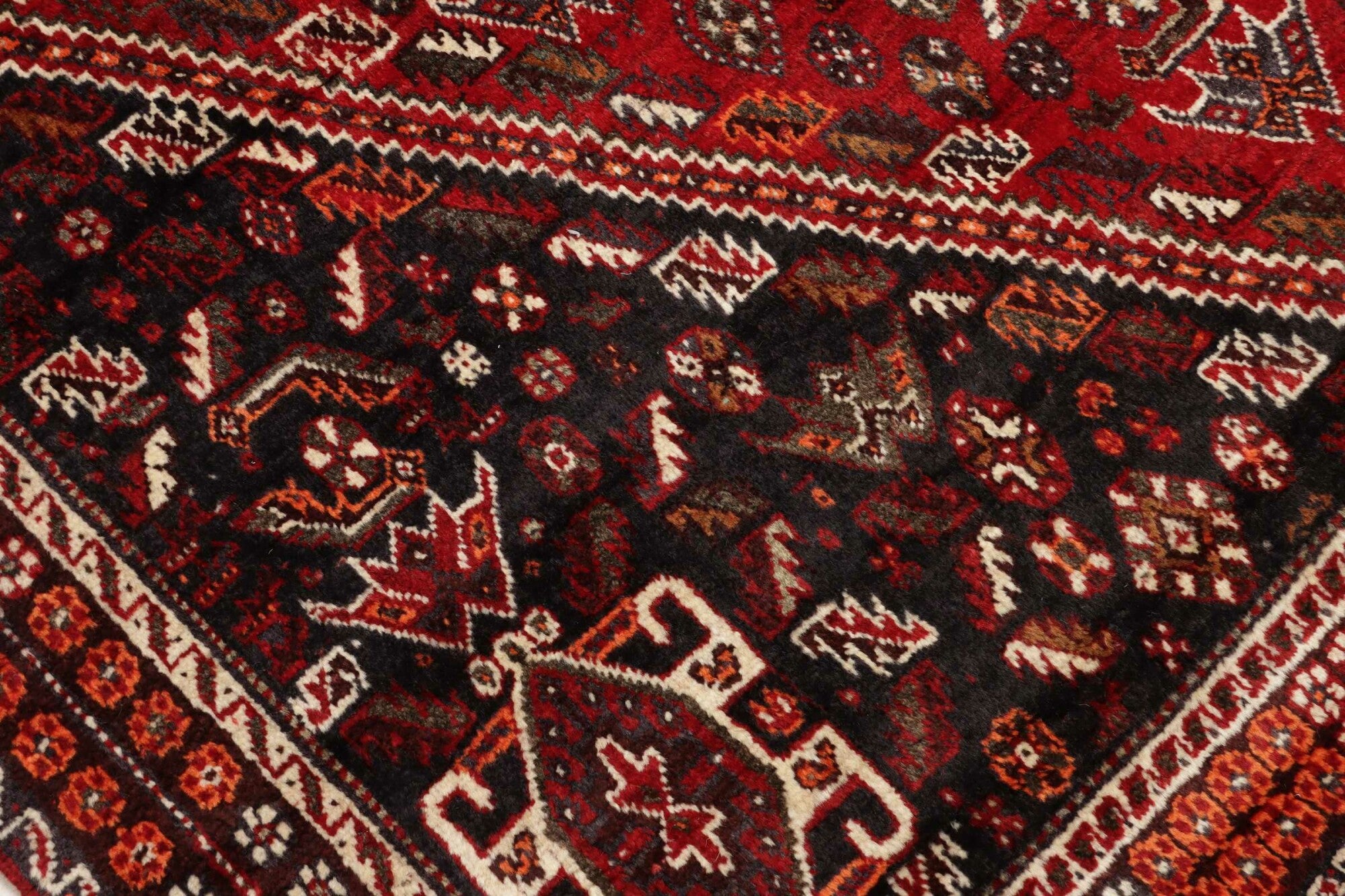 Shiraz | 275 x 175 cm | Nr. 12-459159