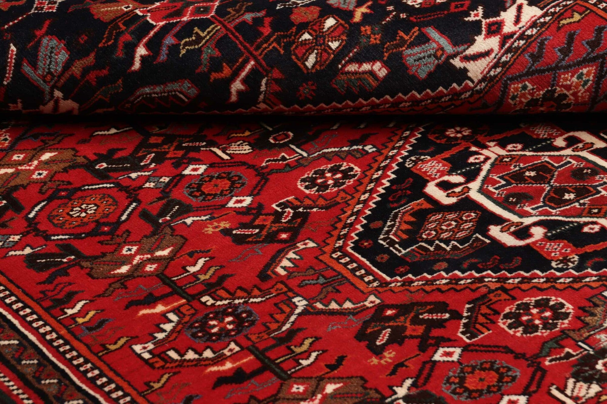 Shiraz | 258 cm x 163 cm | Nr. 12-459166