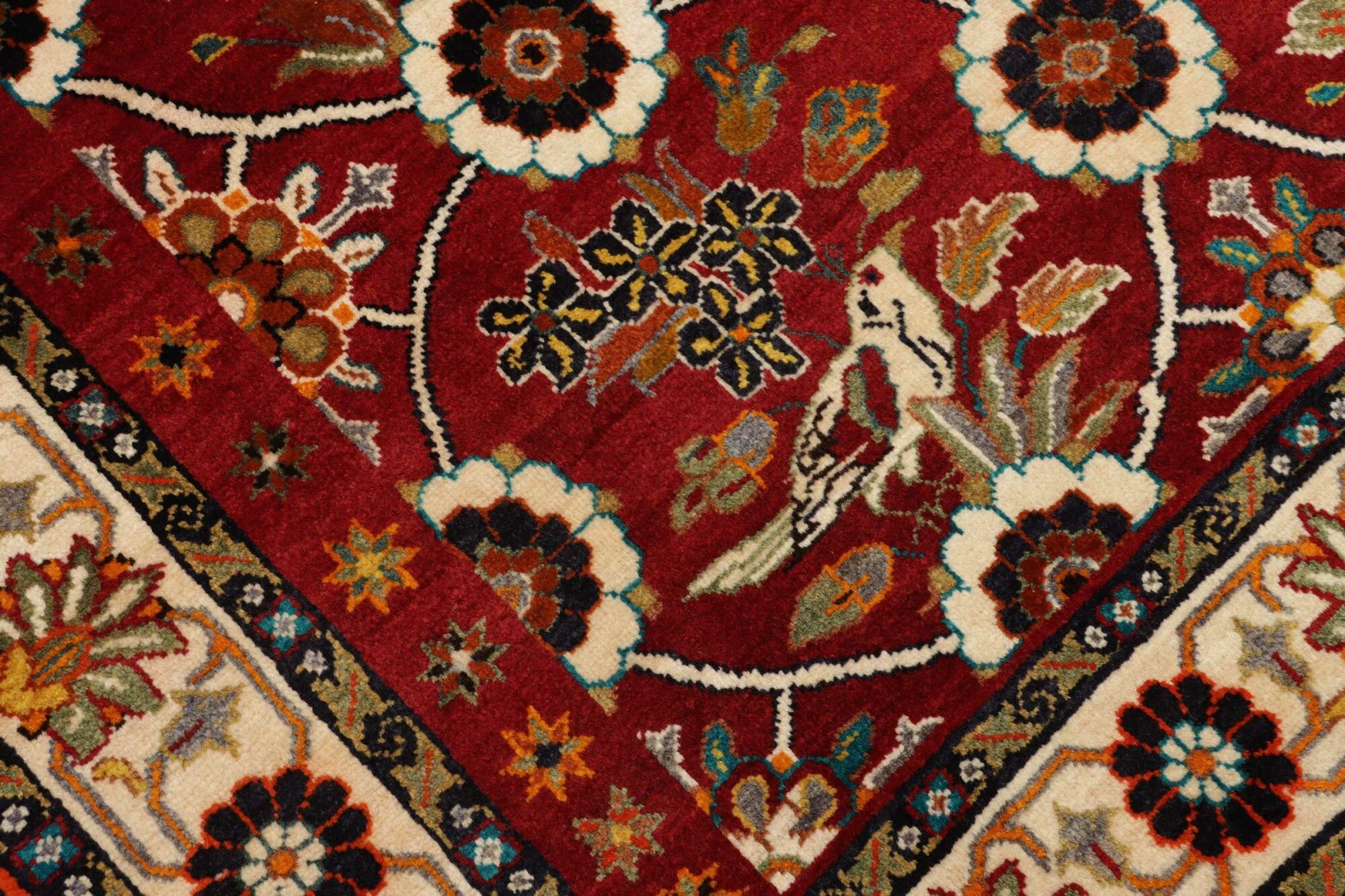 Shiraz | 245 cm x 155 cm | Nr. 12-459188