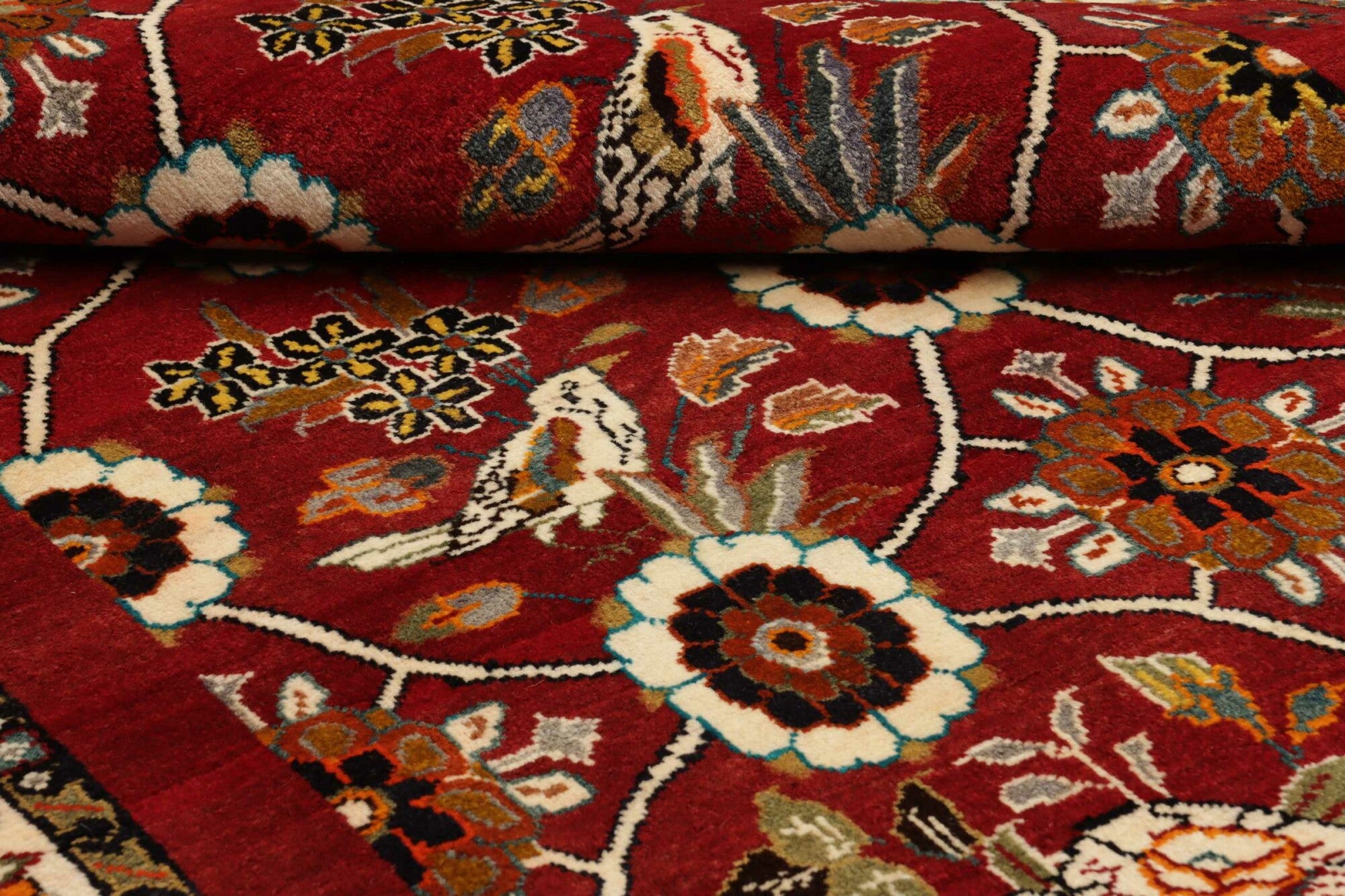 Shiraz | 245 cm x 155 cm | Nr. 12-459188